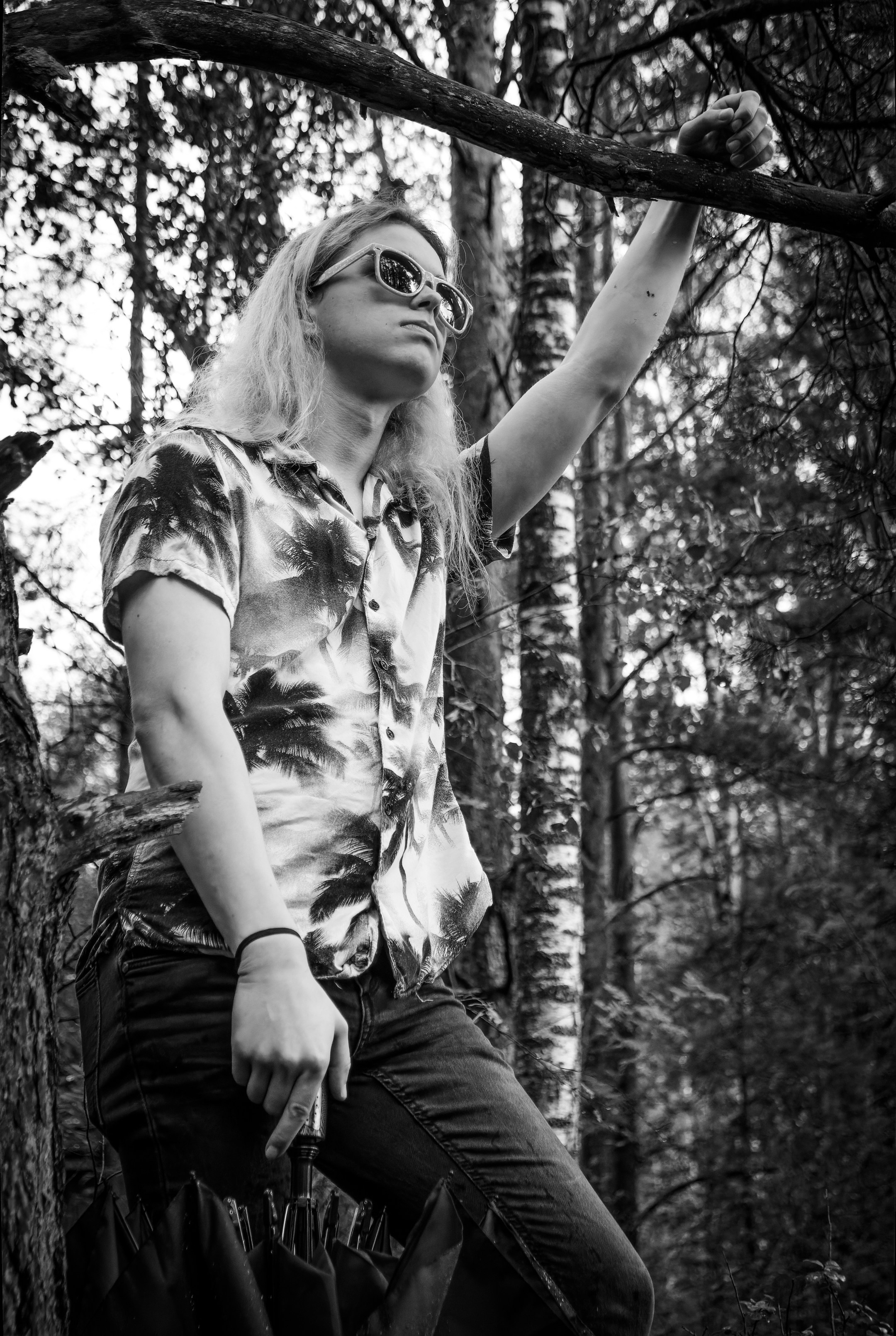 Mets, vihm ja jahedus (Dimitry). Nebula 25 — Fotod teie hingele