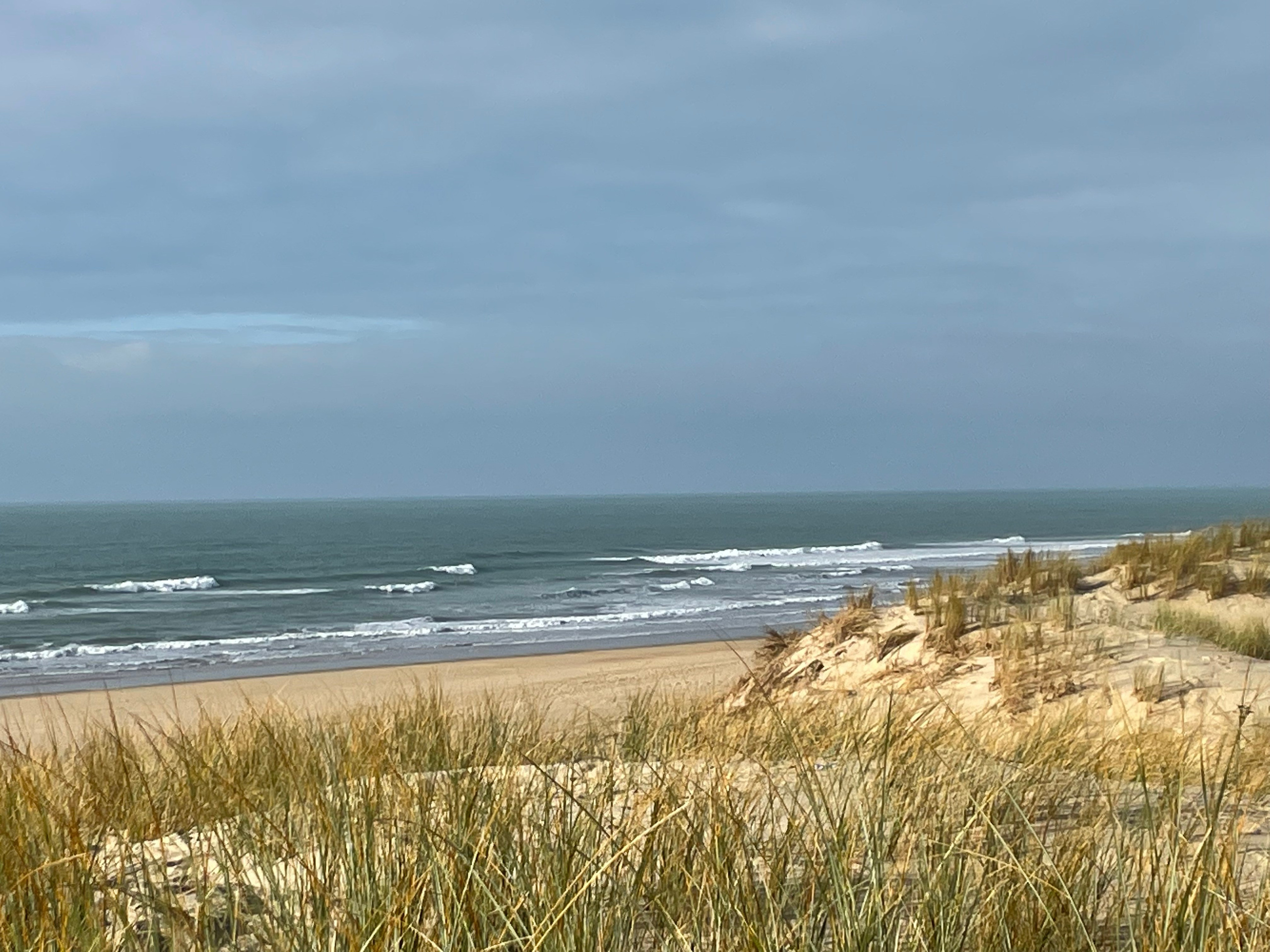 Materials collection and inspiration. Anne-Flore REY, Artist — Painter and Sculptor in TOULOUSE (FR)