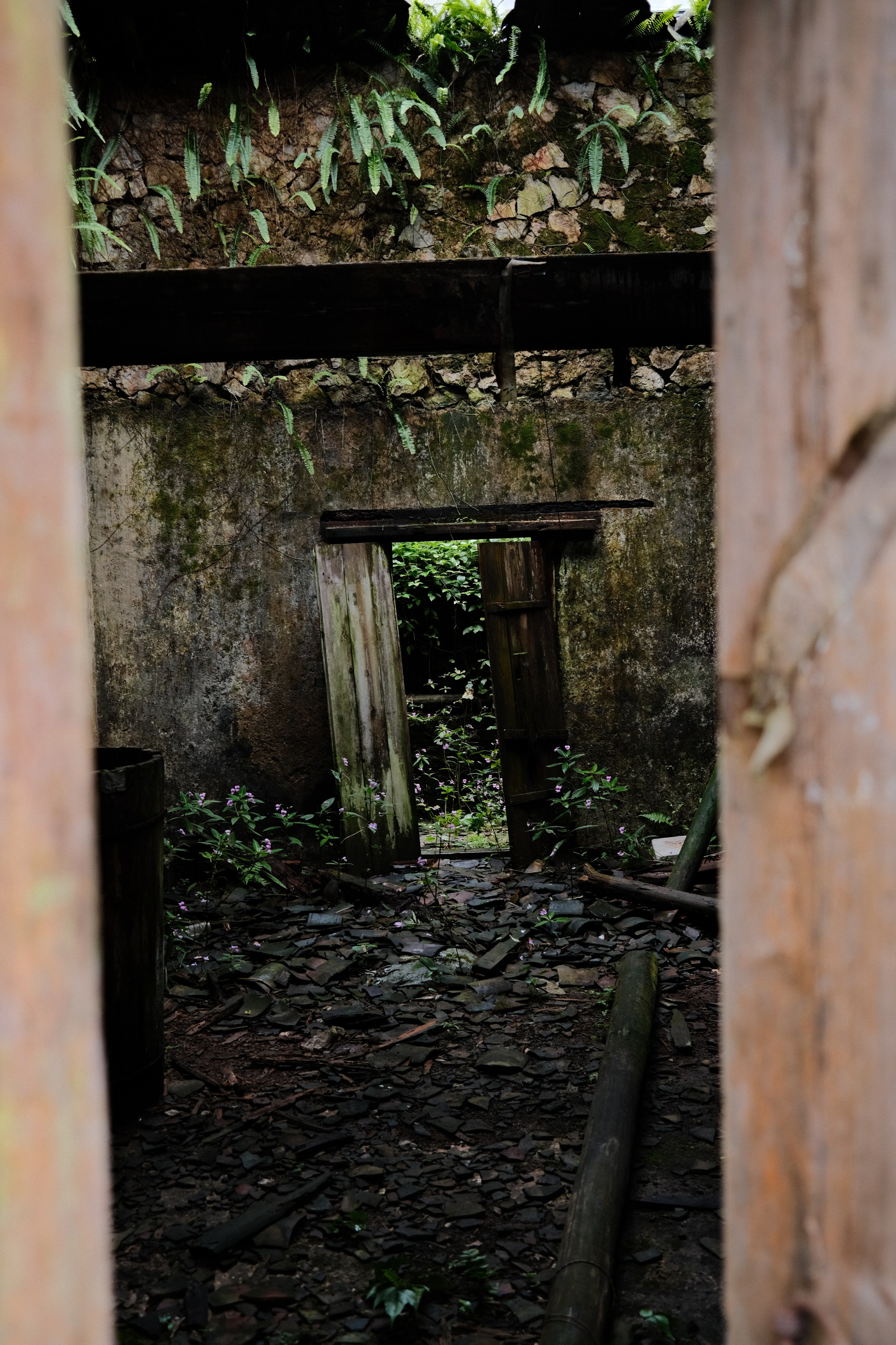 Yangshuo China Guiling. Фотограф В Гуанчжоу и Шэньчжэнь Андрей Лопатин