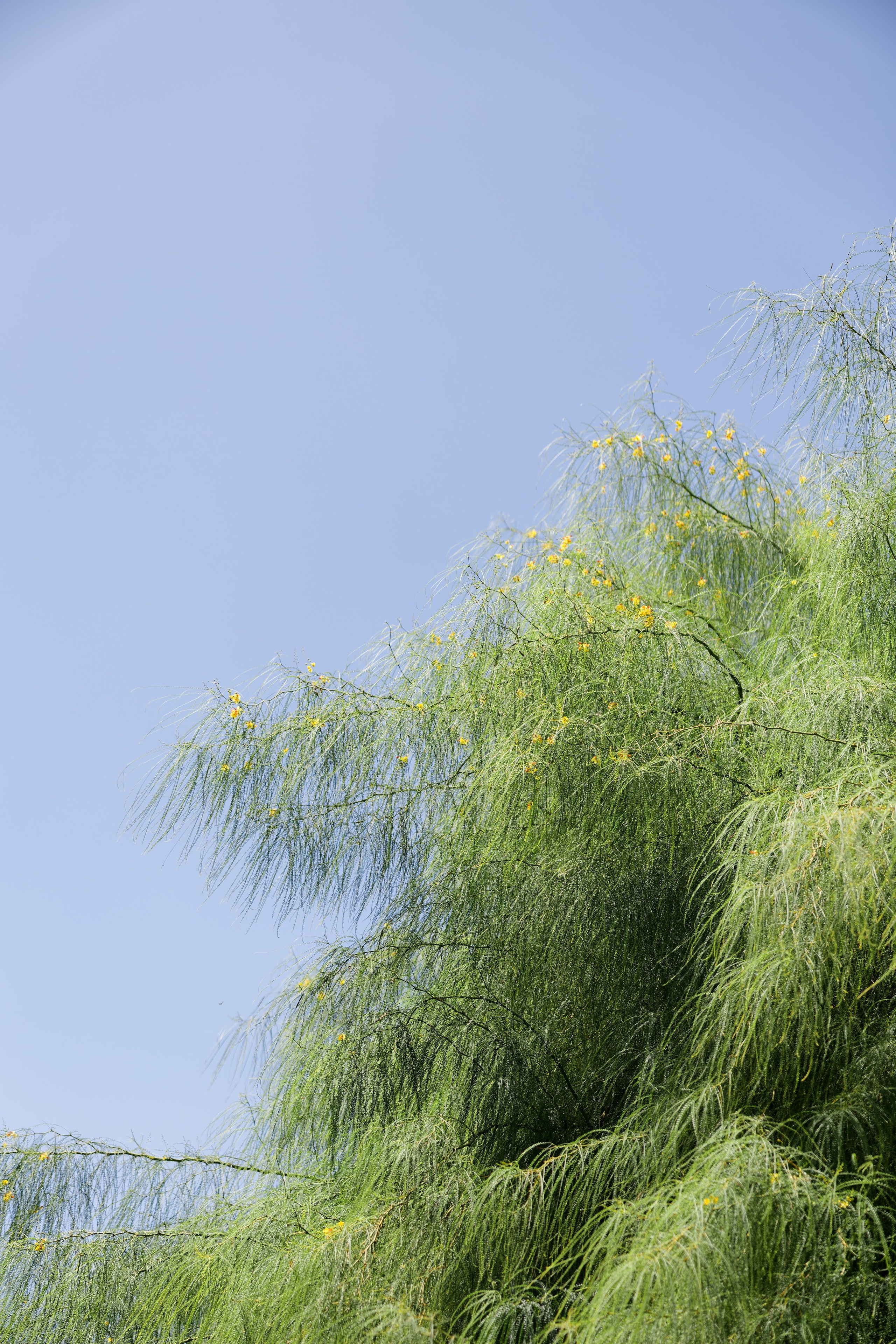 Wedding of Gracie & Joe at Gran Villa Rosa, Barcelona