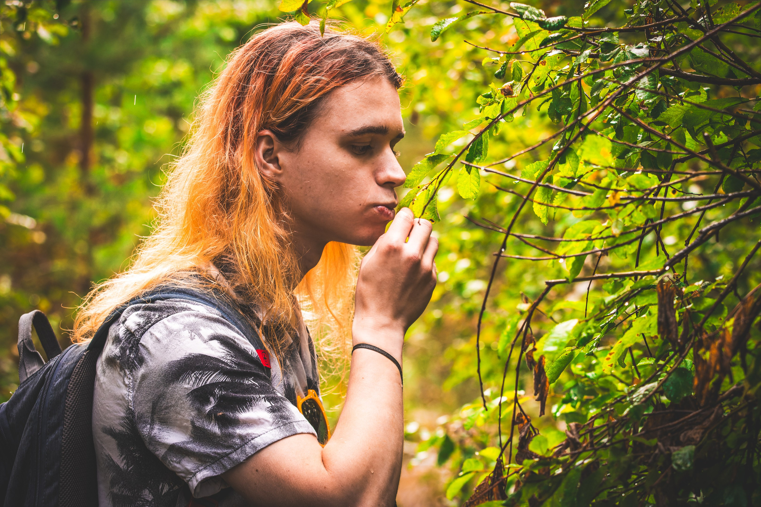 Mets, vihm ja jahedus (Dimitry). Nebula 25 — Fotod teie hingele