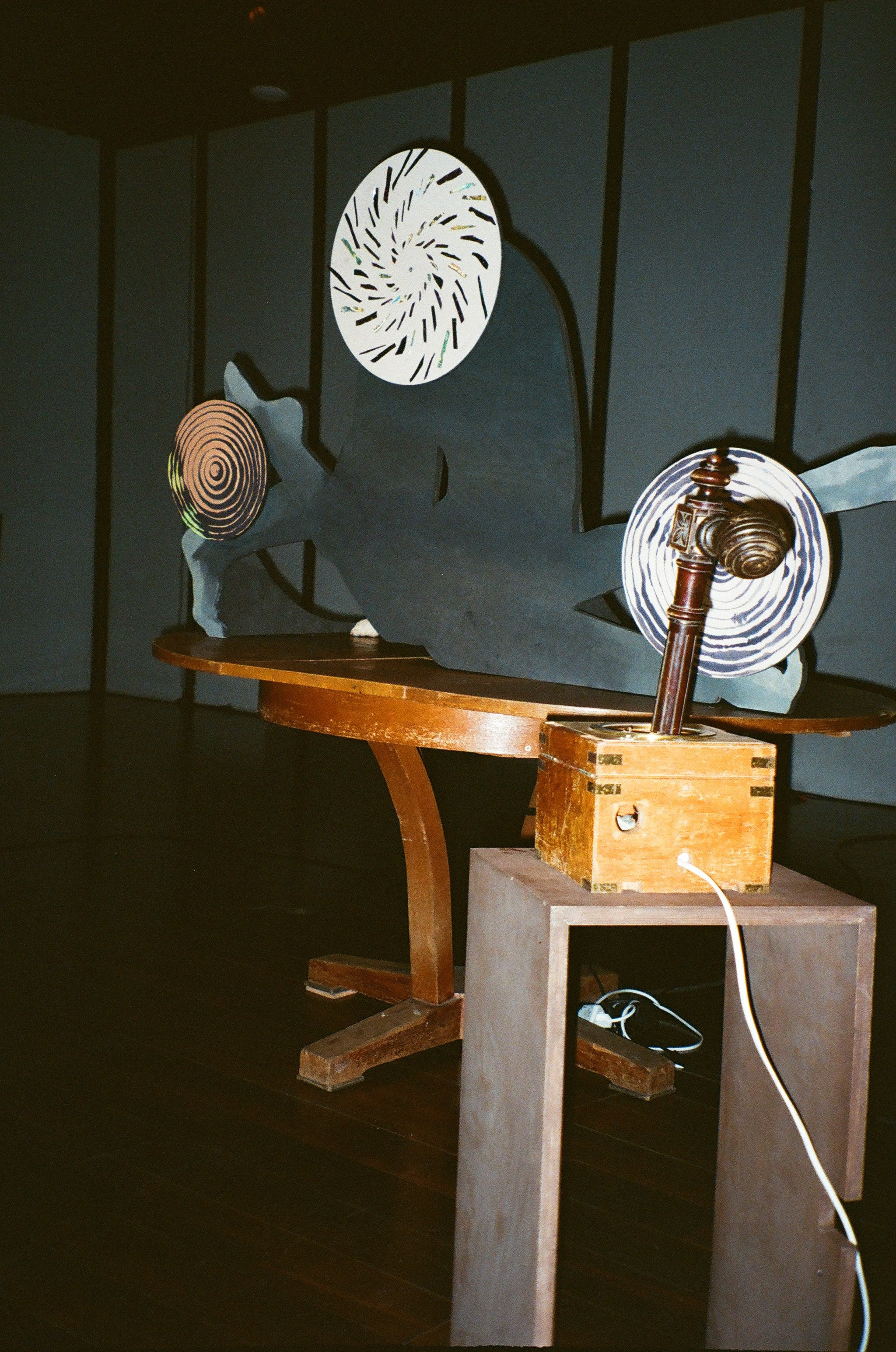 Spira mirabilis| Удивительная спираль. Alina Kugush