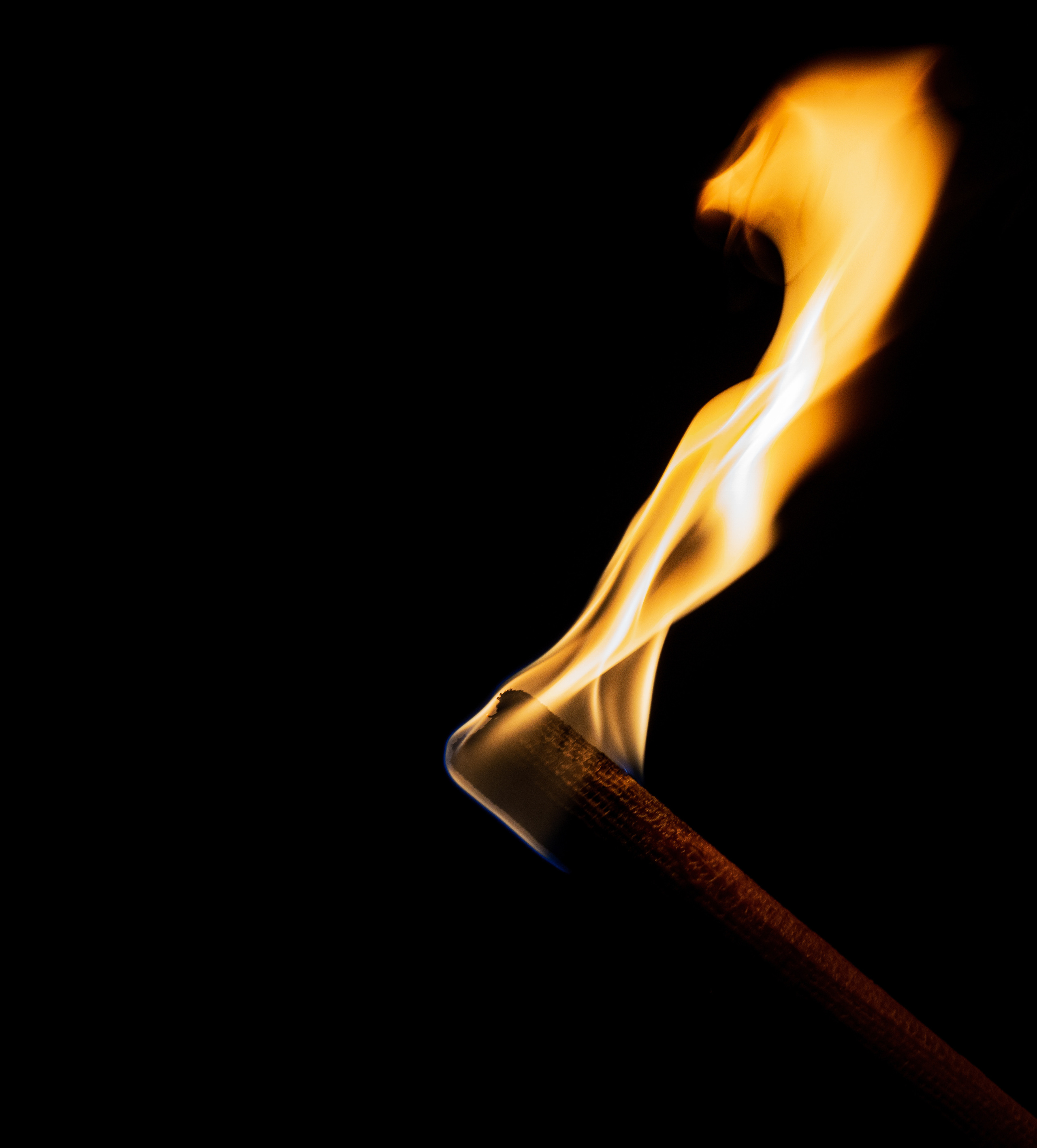 Divers. Photographe à Genève - Eugenia Andres