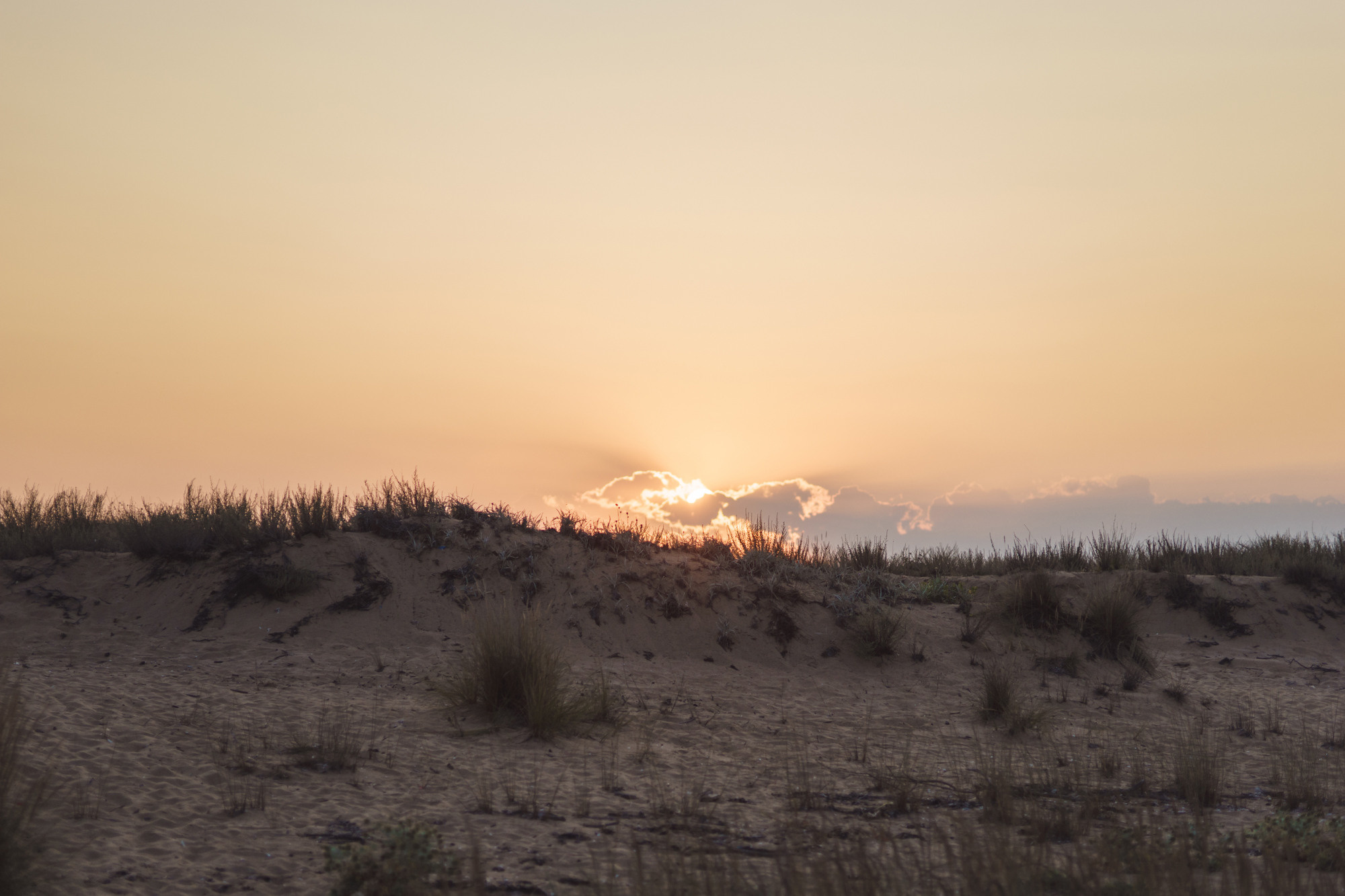 Александр + Светлана, Ангелина и Нина. Фотограф в Болгарии Екатерина Зубкова