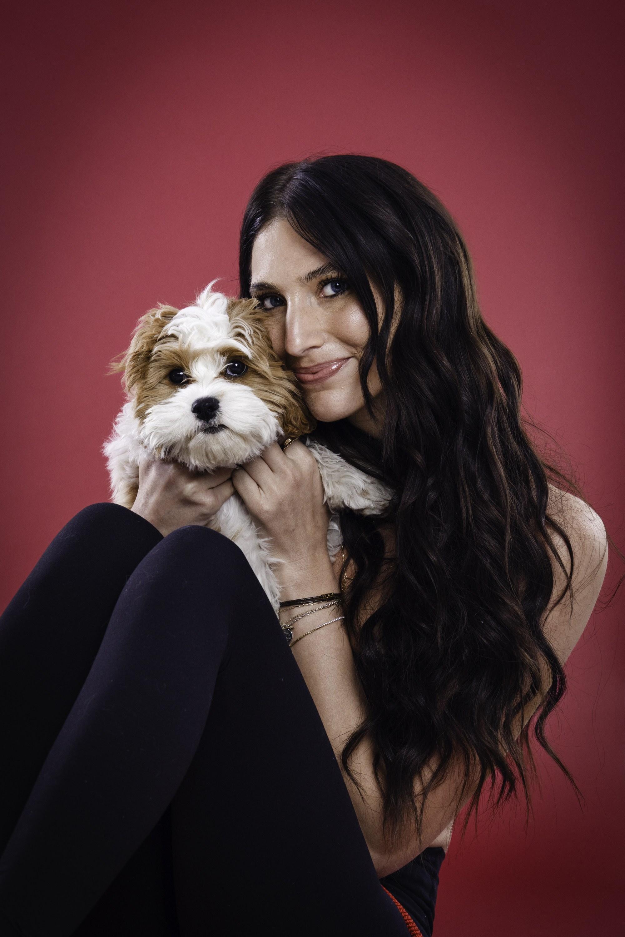 Animal de Compagnie. Studioplaza8