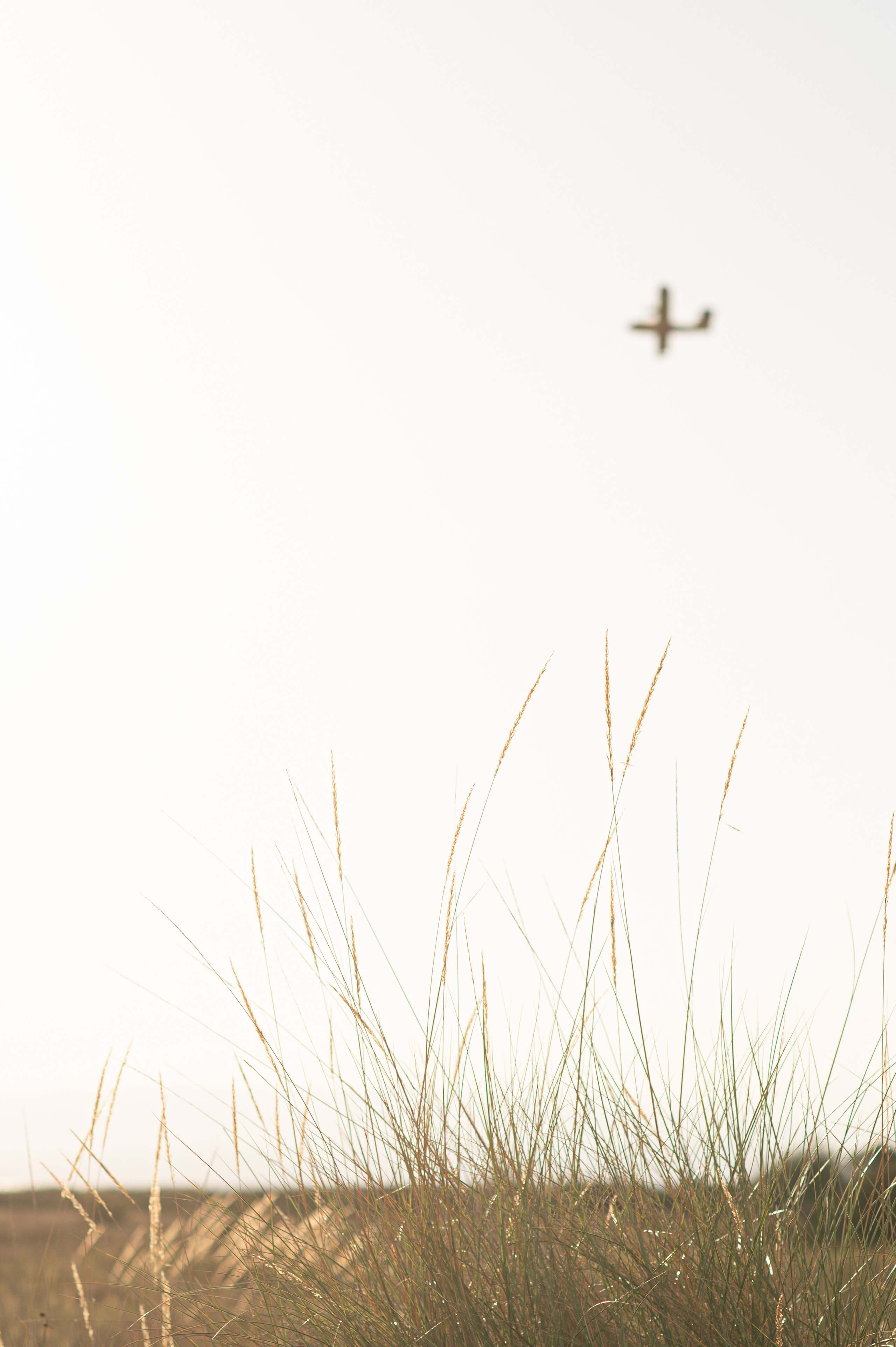 Evgenia. Family, children, portrait, and event photography in Thessaloniki