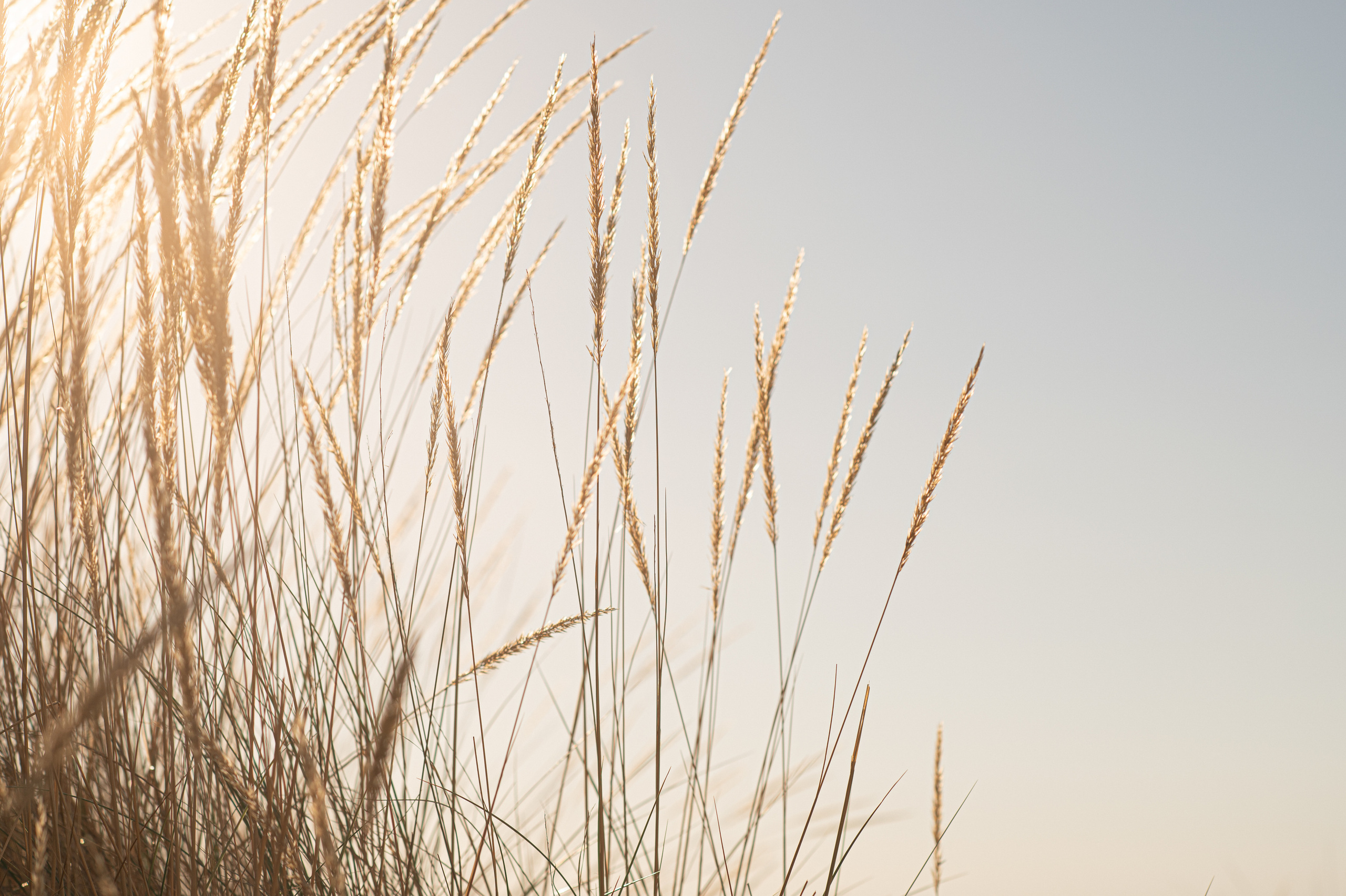 Evgenia. Family, children, portrait, and event photography in Thessaloniki