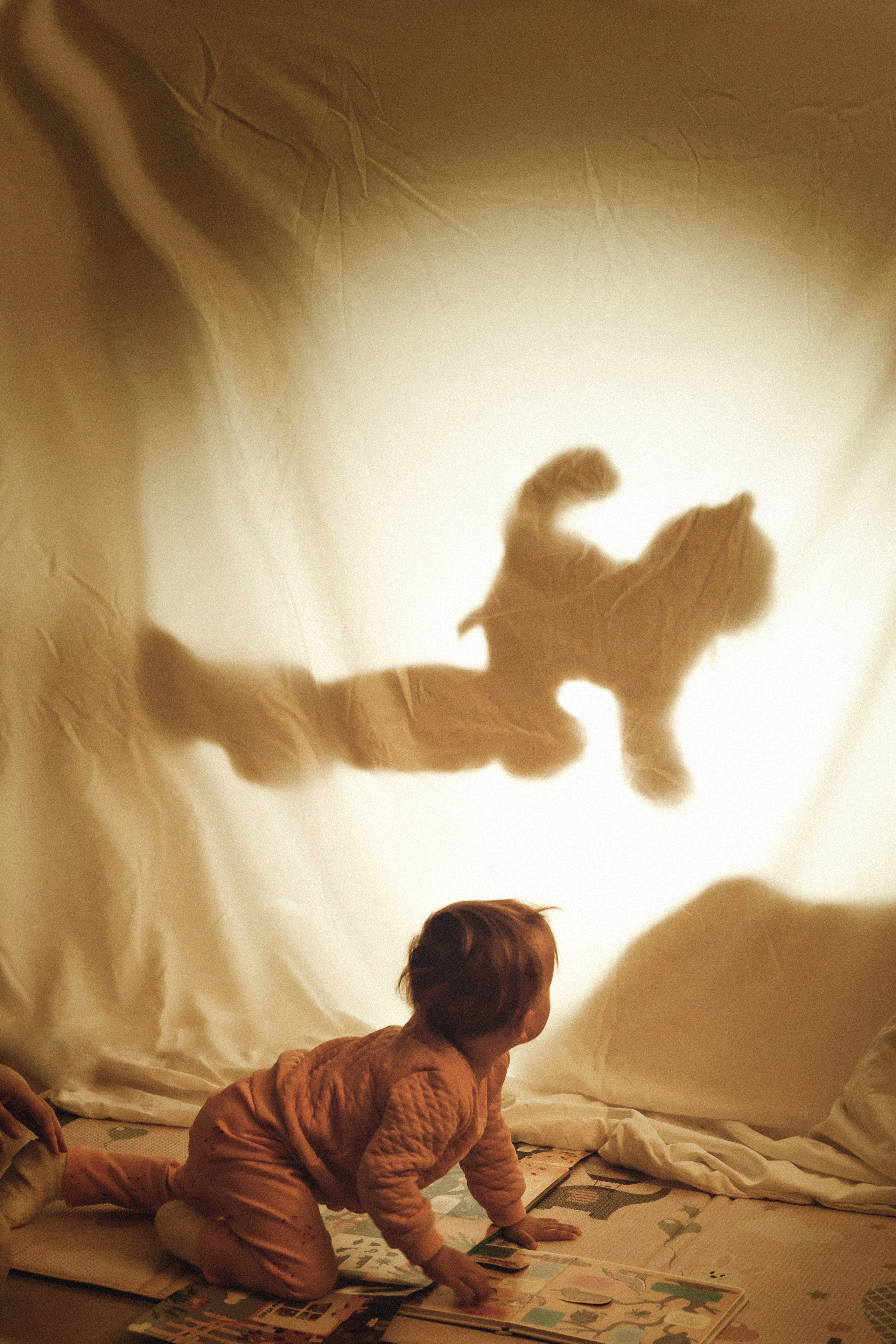 Family history. Семейный детский фотограф Бляхер Ирина в Израиле