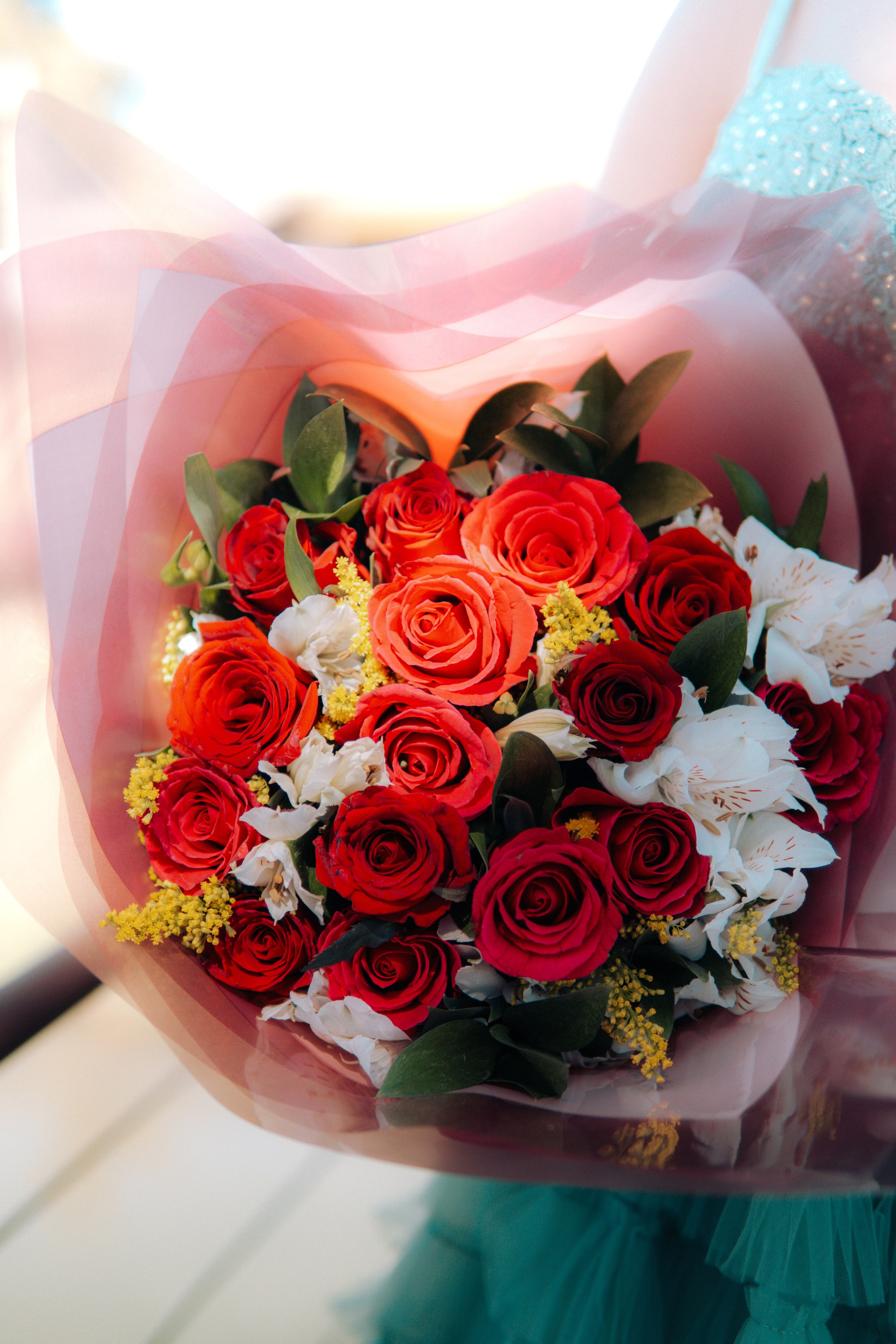 Debutante. Reference Visuals