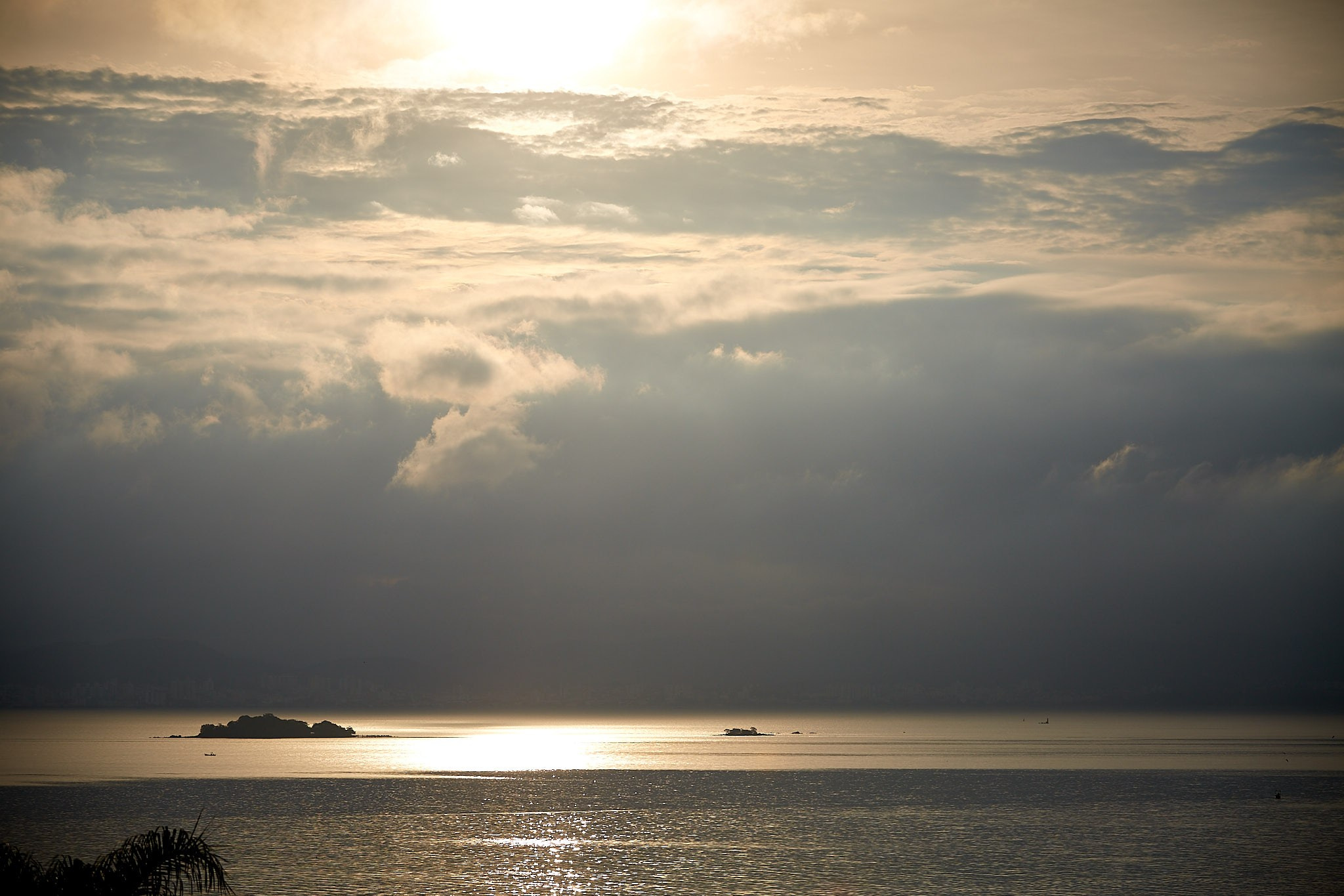 Casamento Tânia e Zé. Fotógrafo de casamentos em Florianópolis