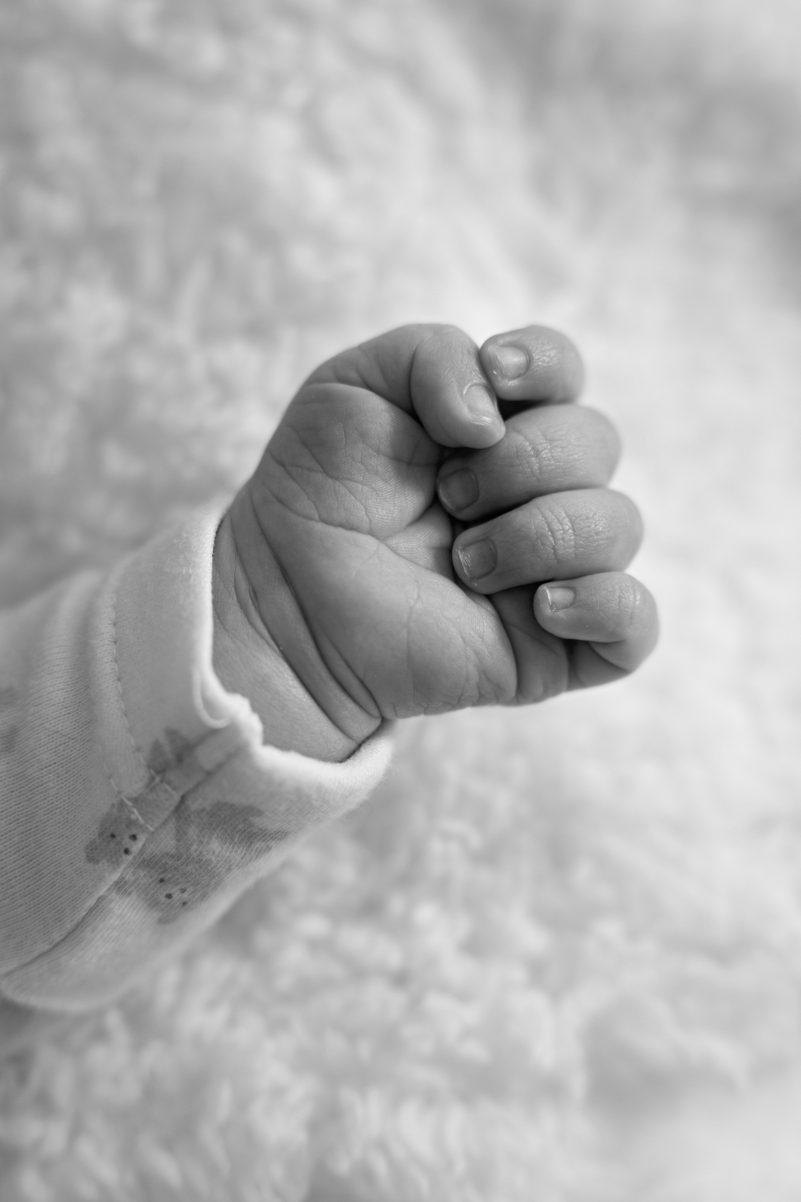 Raiu family. Portrait and Family Photographer in Netherlands