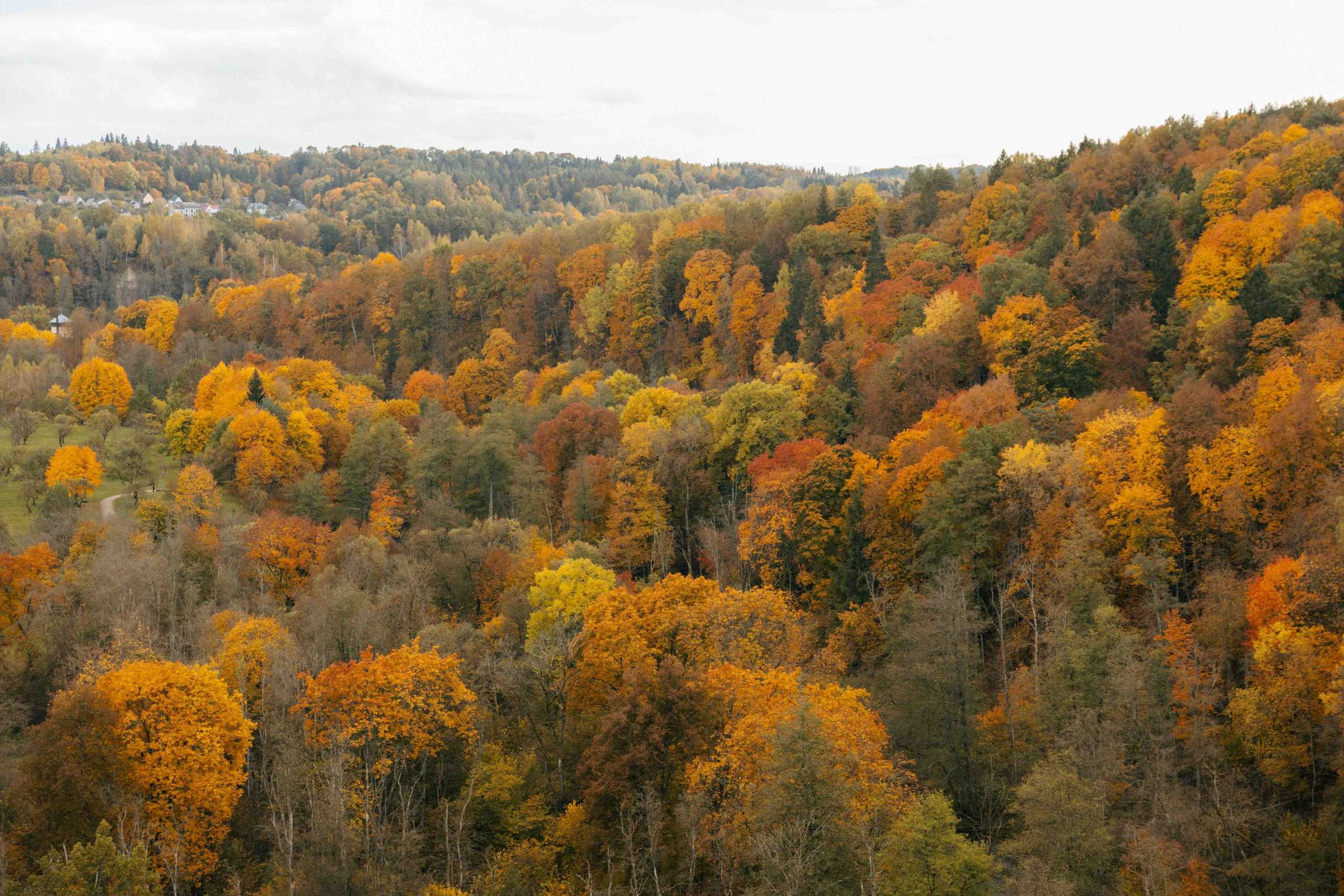 Best Autumn Photoshoot Locations in Vilnius: Top Spots to Capture the Fall Colors. Framed by Evelina | Destination Wedding Photographer from Lithuania | Europe
