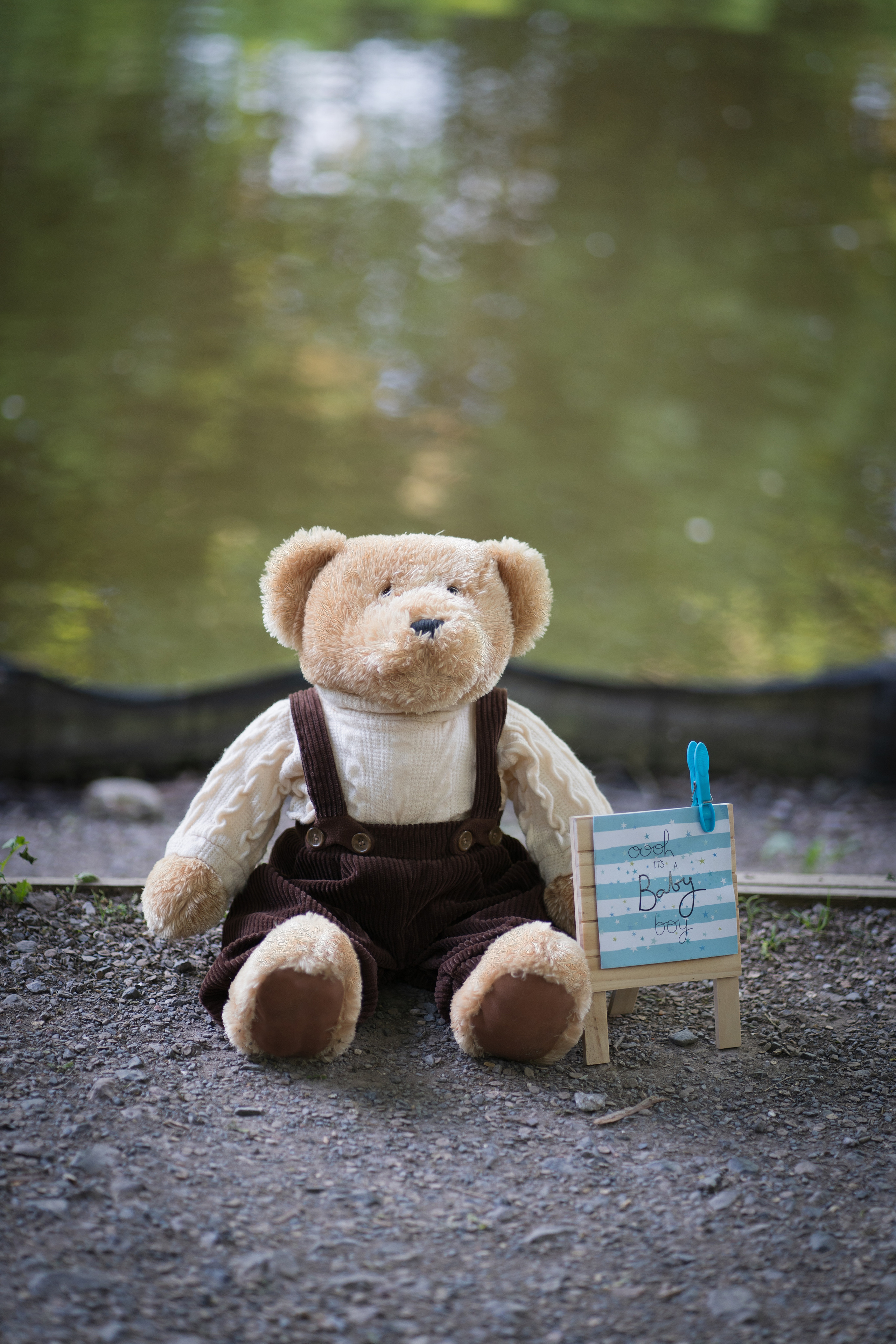 Marius & Alexandra в ожидании малыша. Детский и семейный фотограф в Богнор Регис Елена Уплея