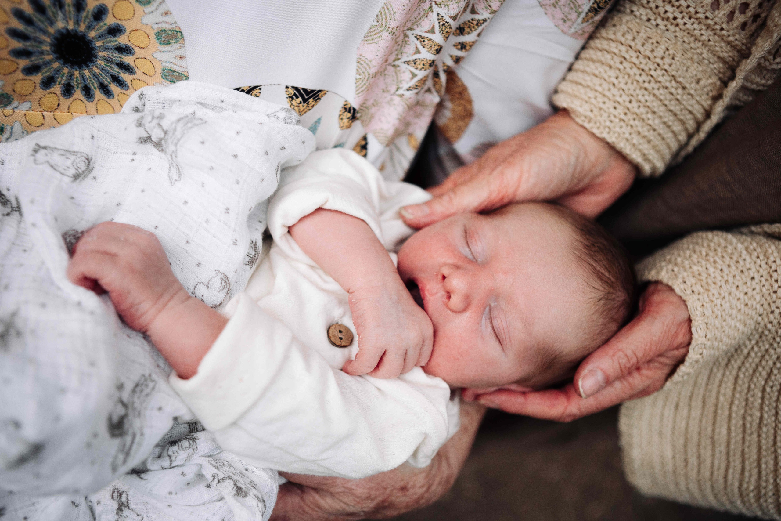 BRIT MILA IN NATURE IN JERUSALEM. Https://shi-photo.com/