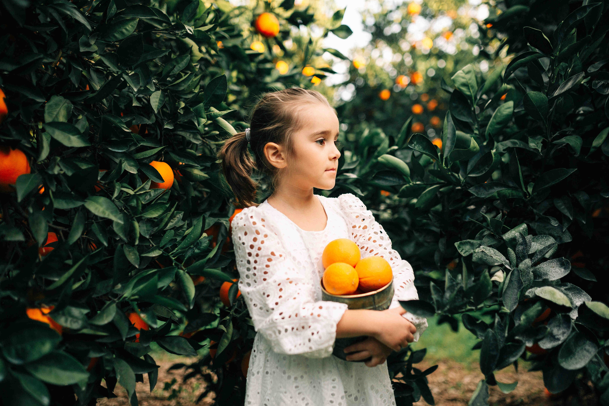 MANDARNINE GARDEN. Https://shi-photo.com/