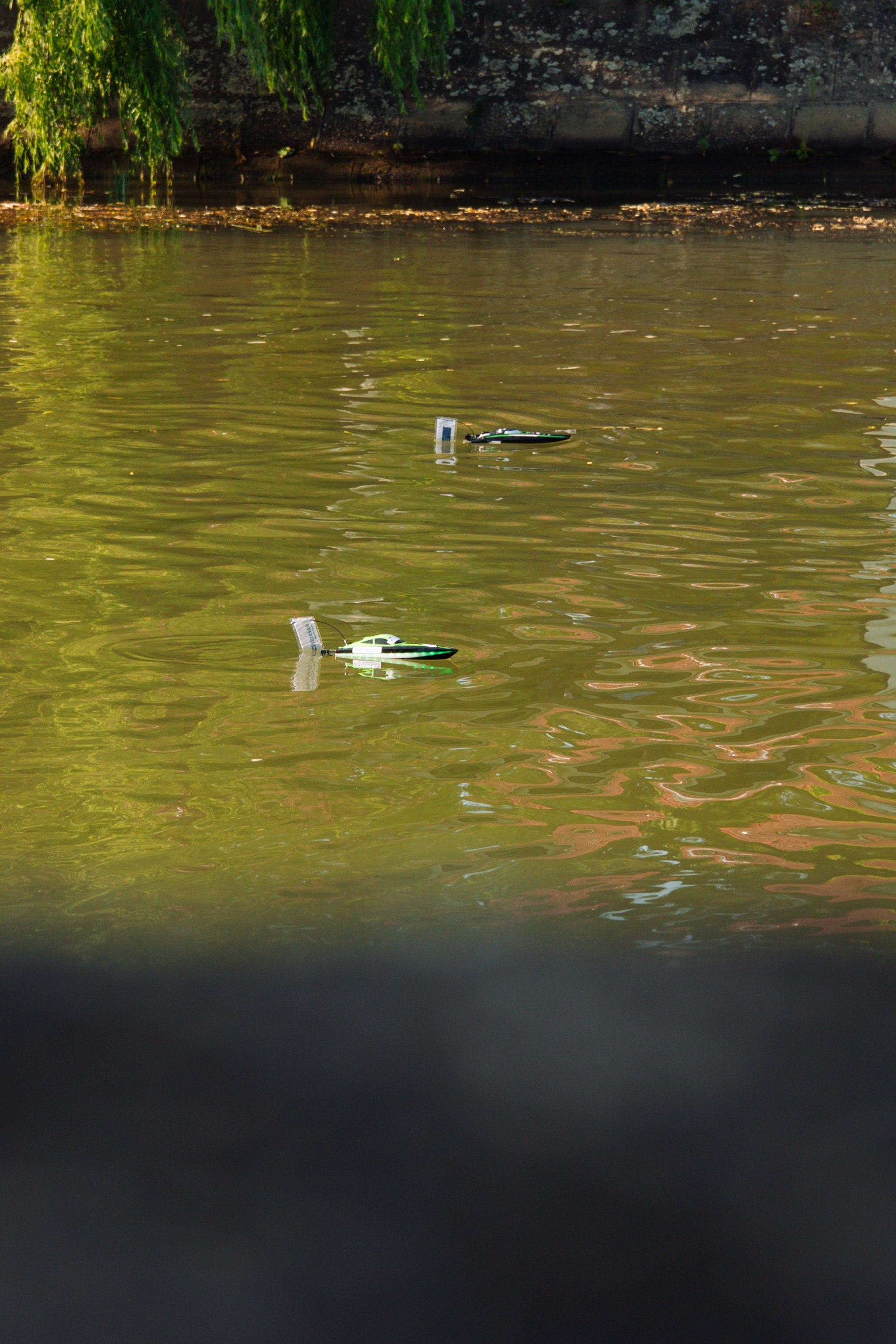 06.04 Bega Boat Race. Cozac Cristian Photographer