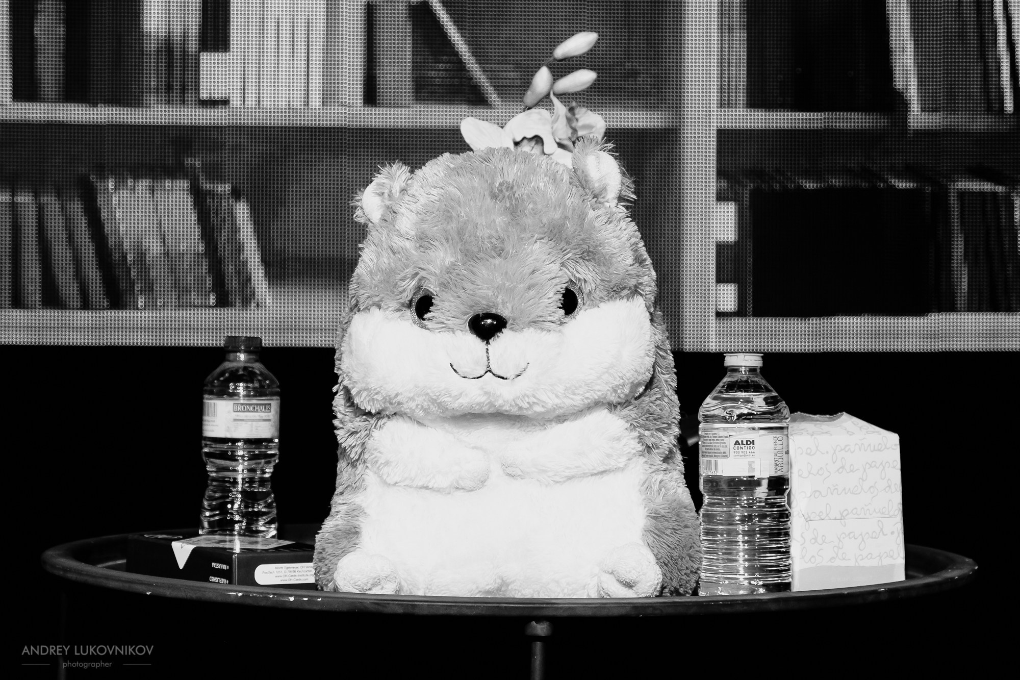 Репортаж со спектакля «Картошка фри» в Торревьехе | Фотограф в Испании Андрей Луковников