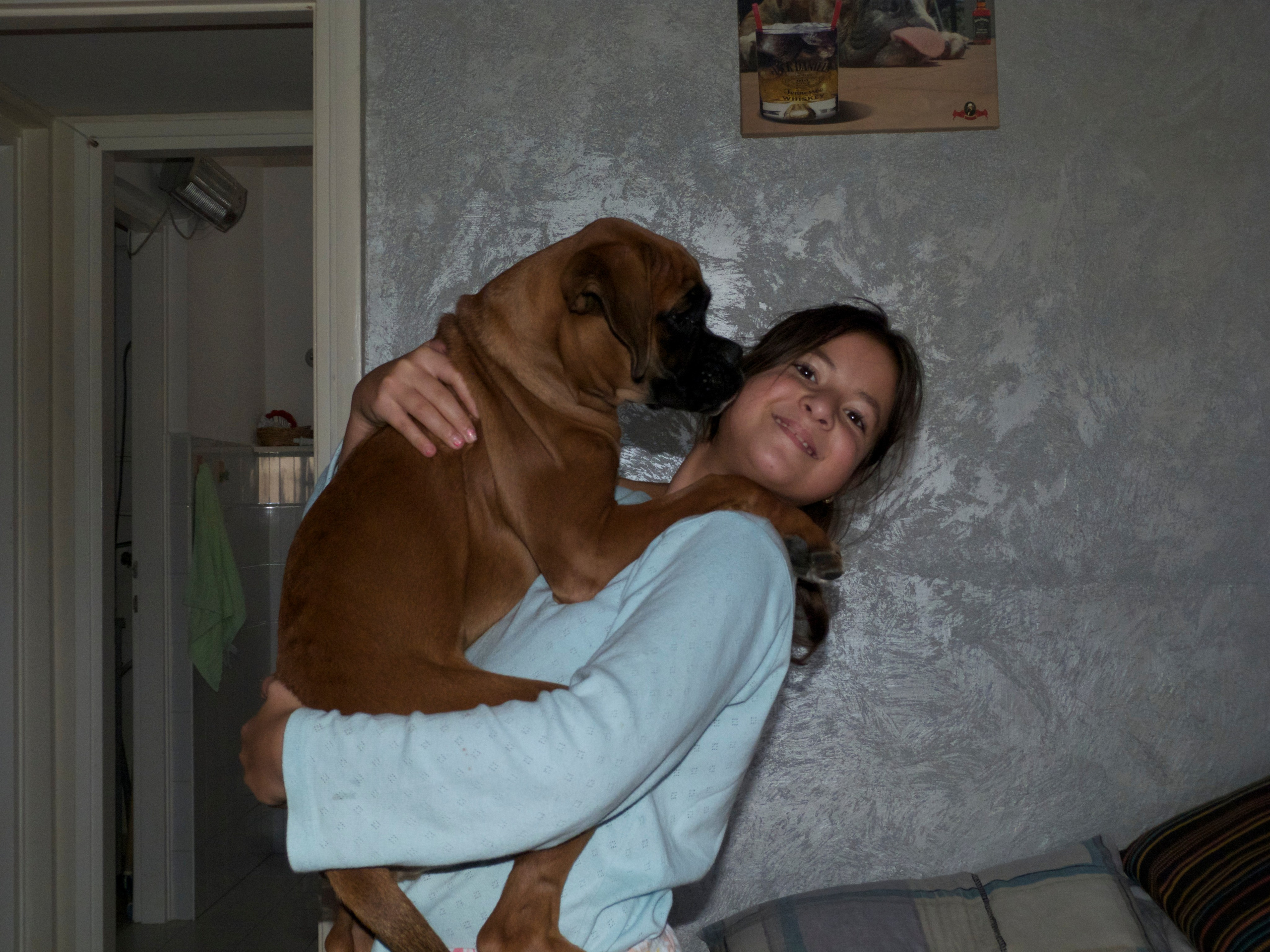 My ״Star״ Boxer Dog