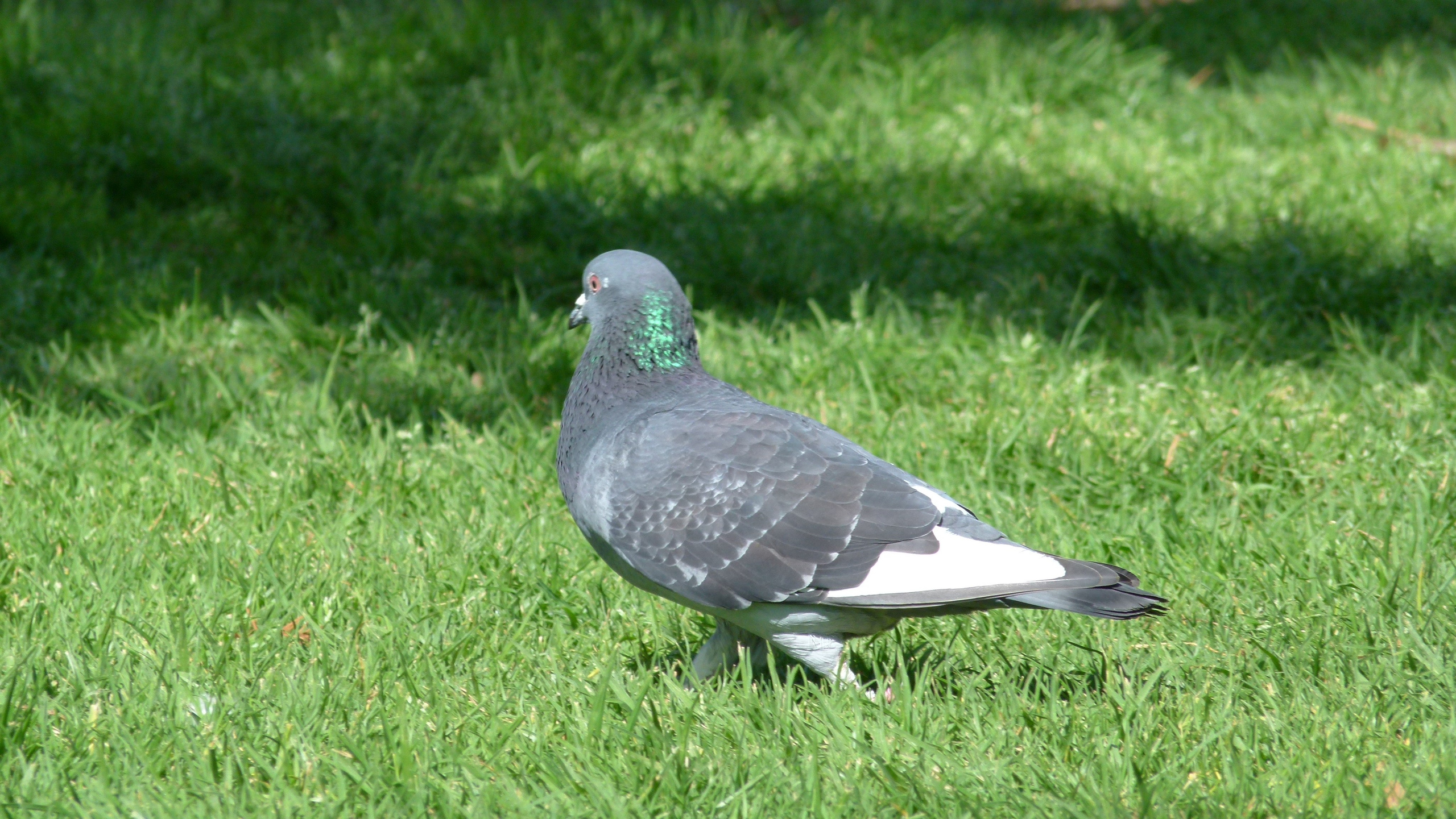 ISRAEL and beautiful people