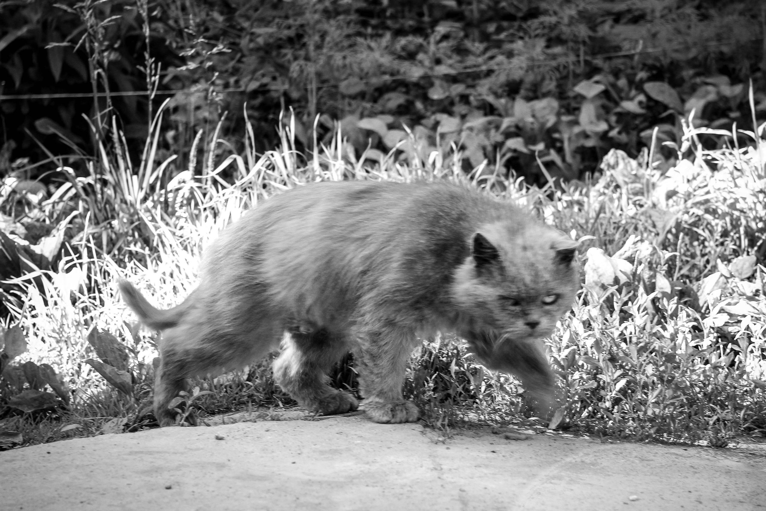 2013. Стрит-фотография, полная абсурда, идиотизма и красоты