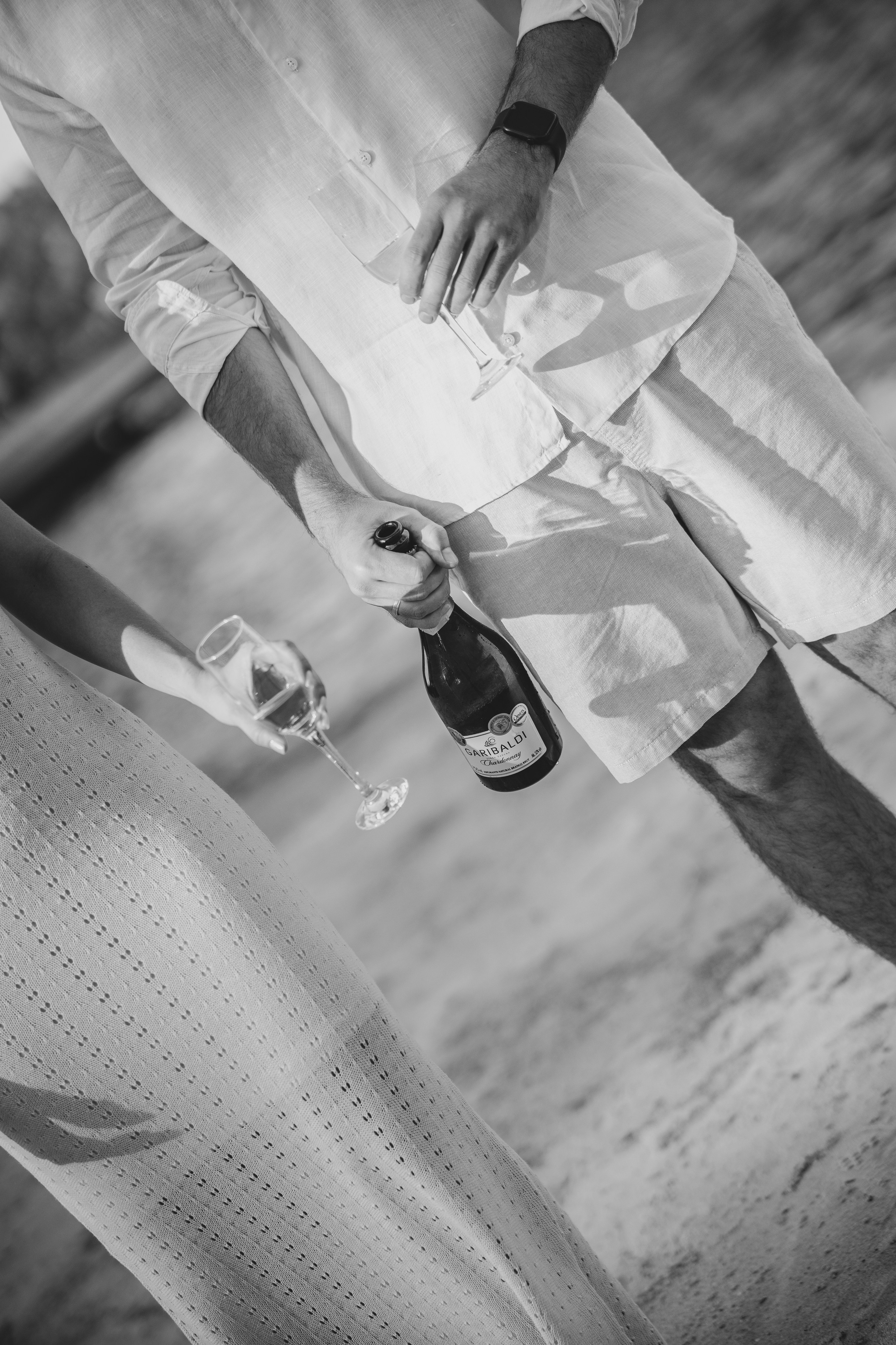 Aline & Gabriel. O Casal Dos Noivos