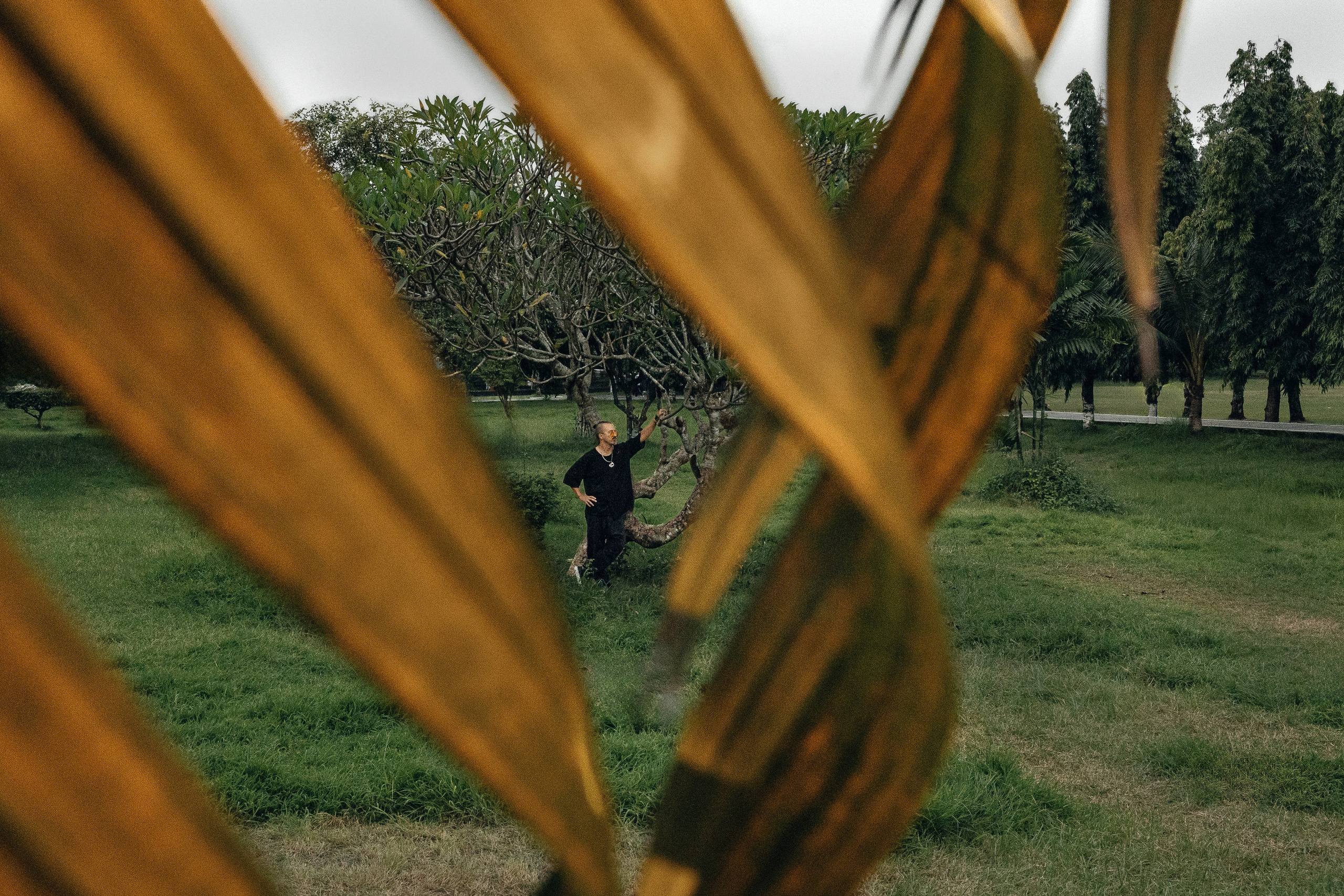 MR CAT. Профессиональный фотограф Нурмиева Вероника