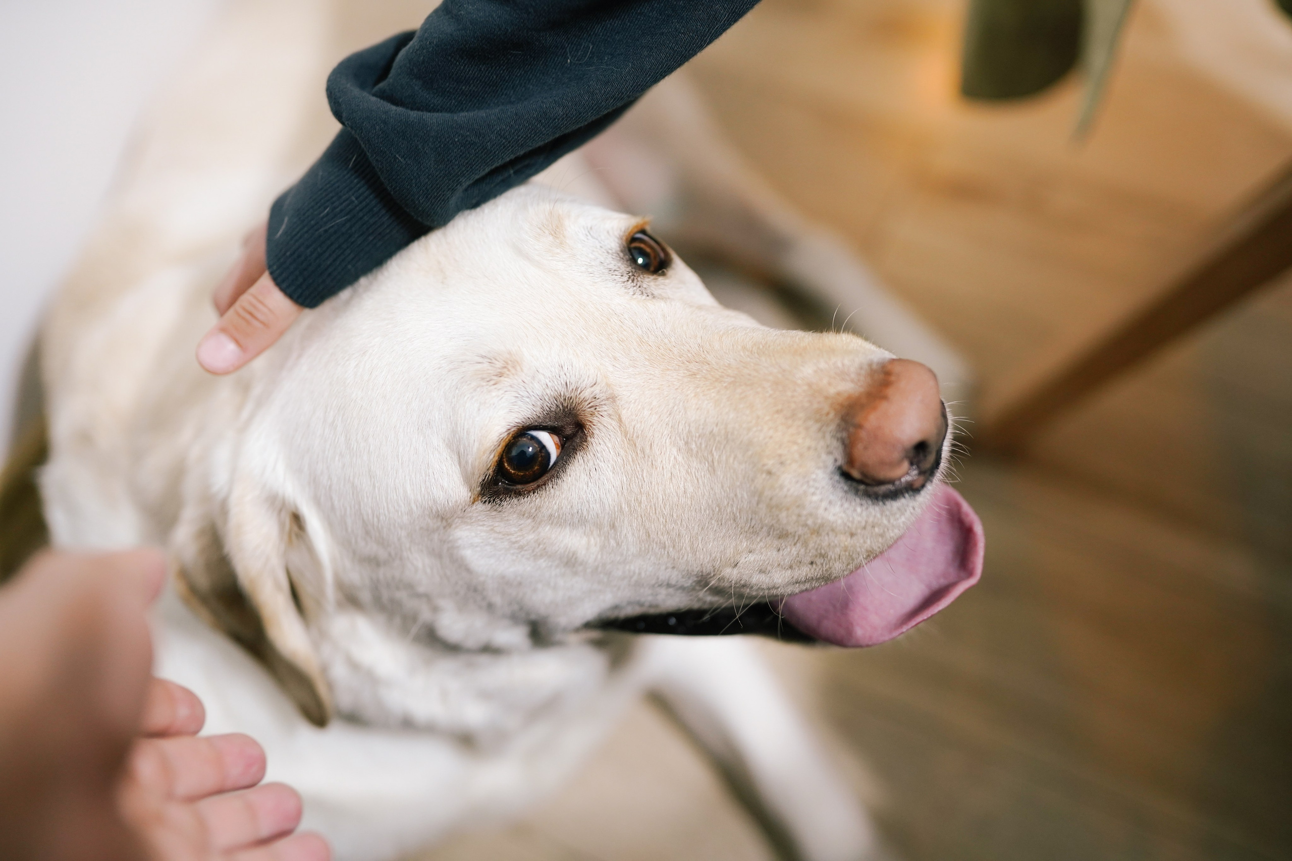 Fotografie de Eveniment Brașov: Povești Vizuale | Mădălina Beda. Madalina Beda- Artist vizual, fotograf, doula la nastere, consultant babywearing Brasov si in toata tara