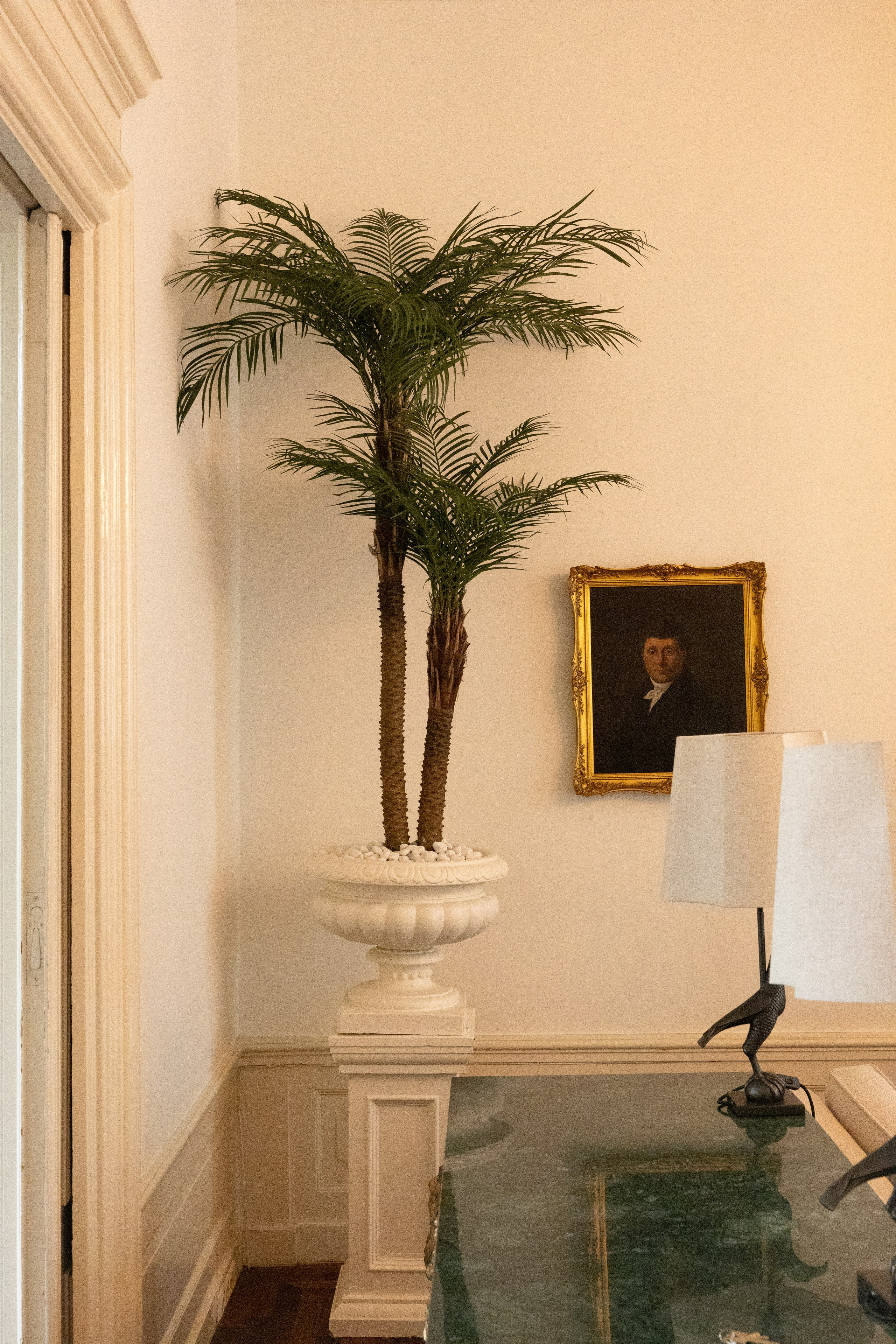 Photostudio in Amsterdam. Sofiya Tarabarova