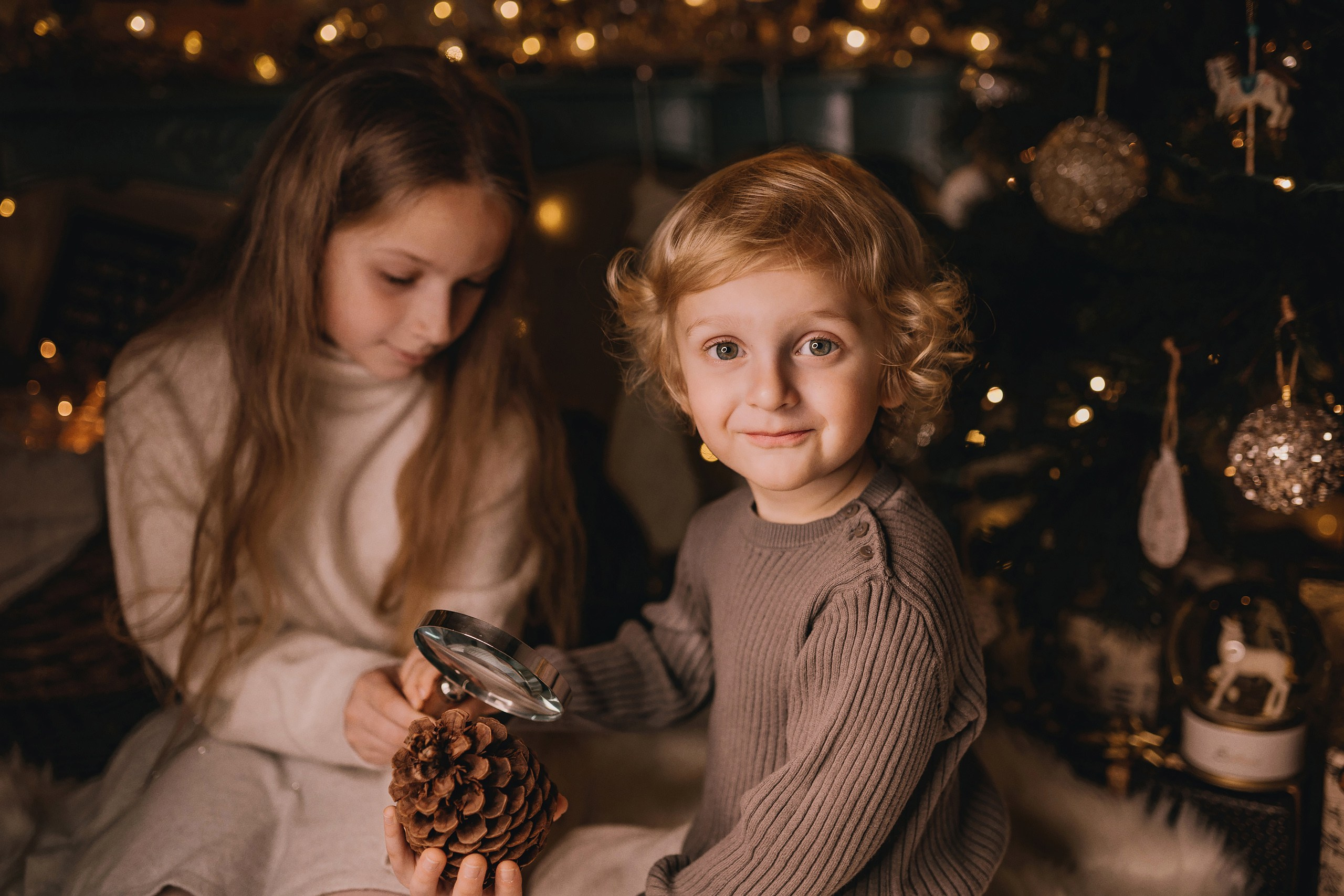 11.15.2025 Christmas Photoshoot. Wedding family event photographer in Chicago Nick Yushevich