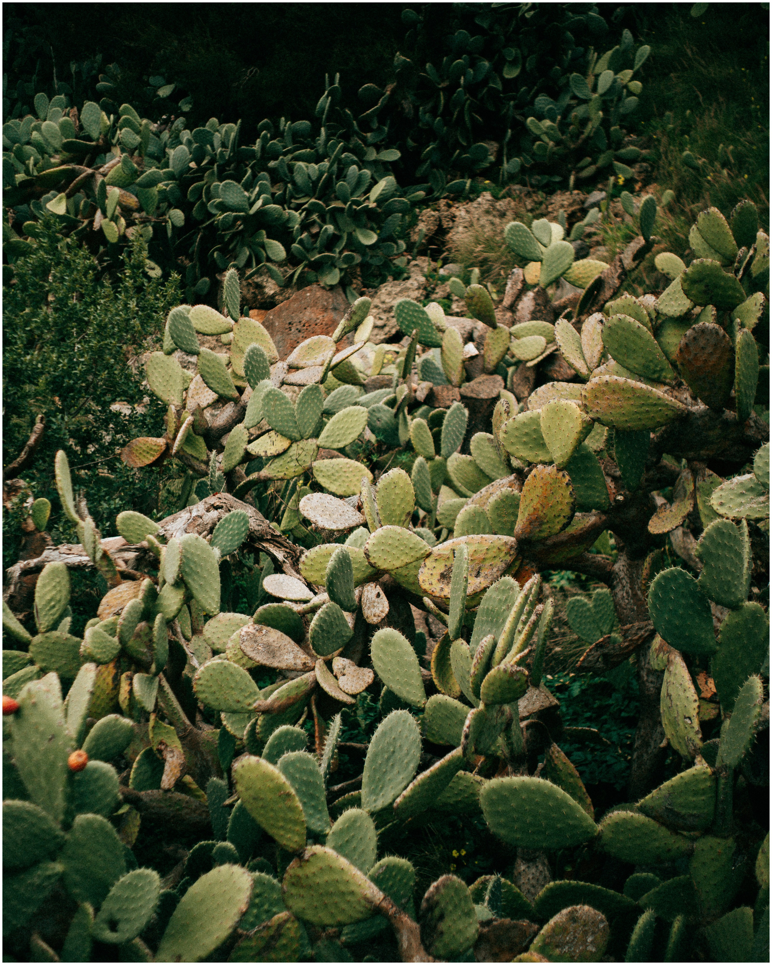 PALERMO. Photographer Inna Mendelson