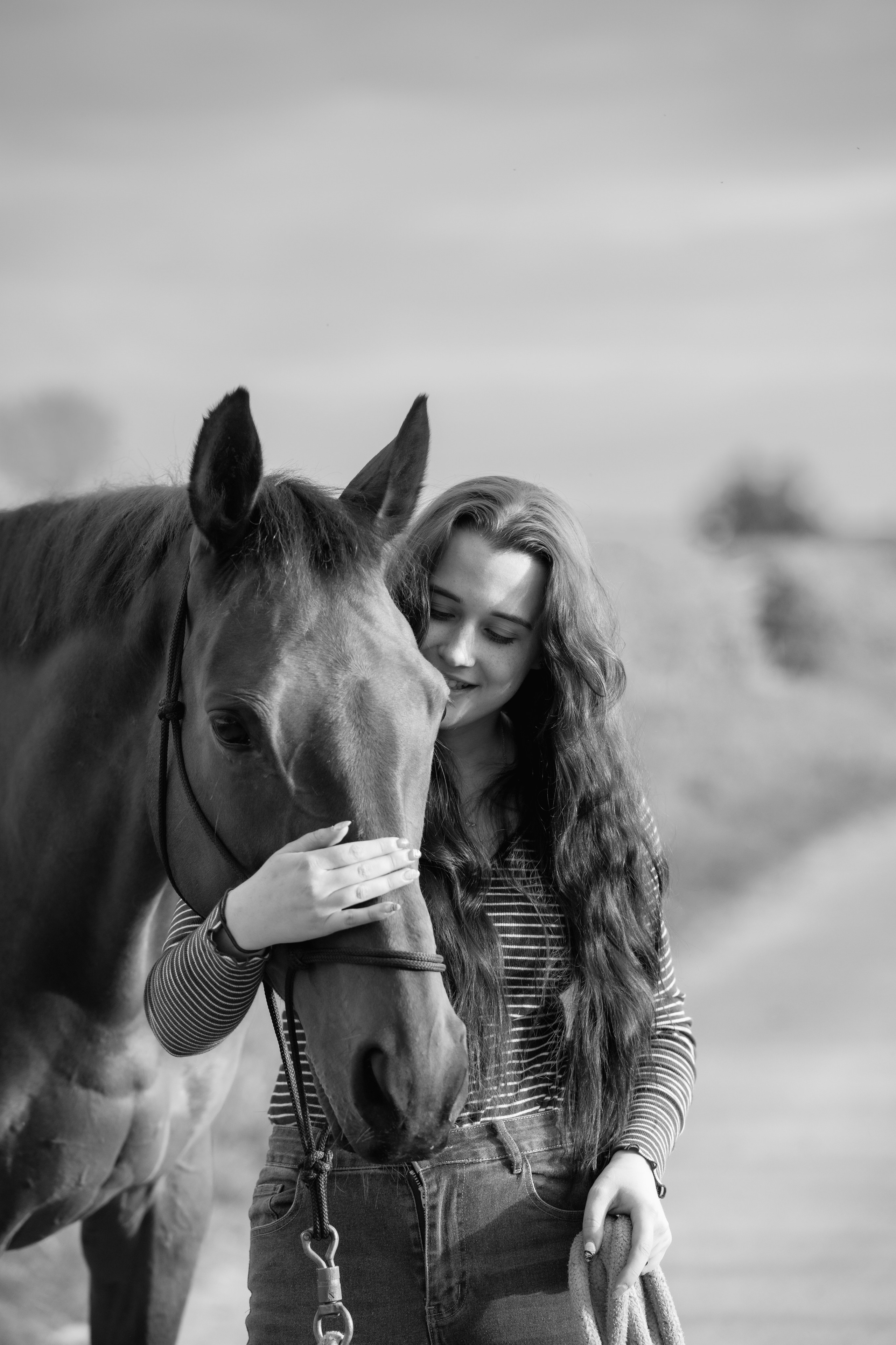 Equine Photography Portfolio | Leicestershire Horse Portrait Photographer. Leicestershire Equine Photography by El | Authentic Equine Portraits & Events