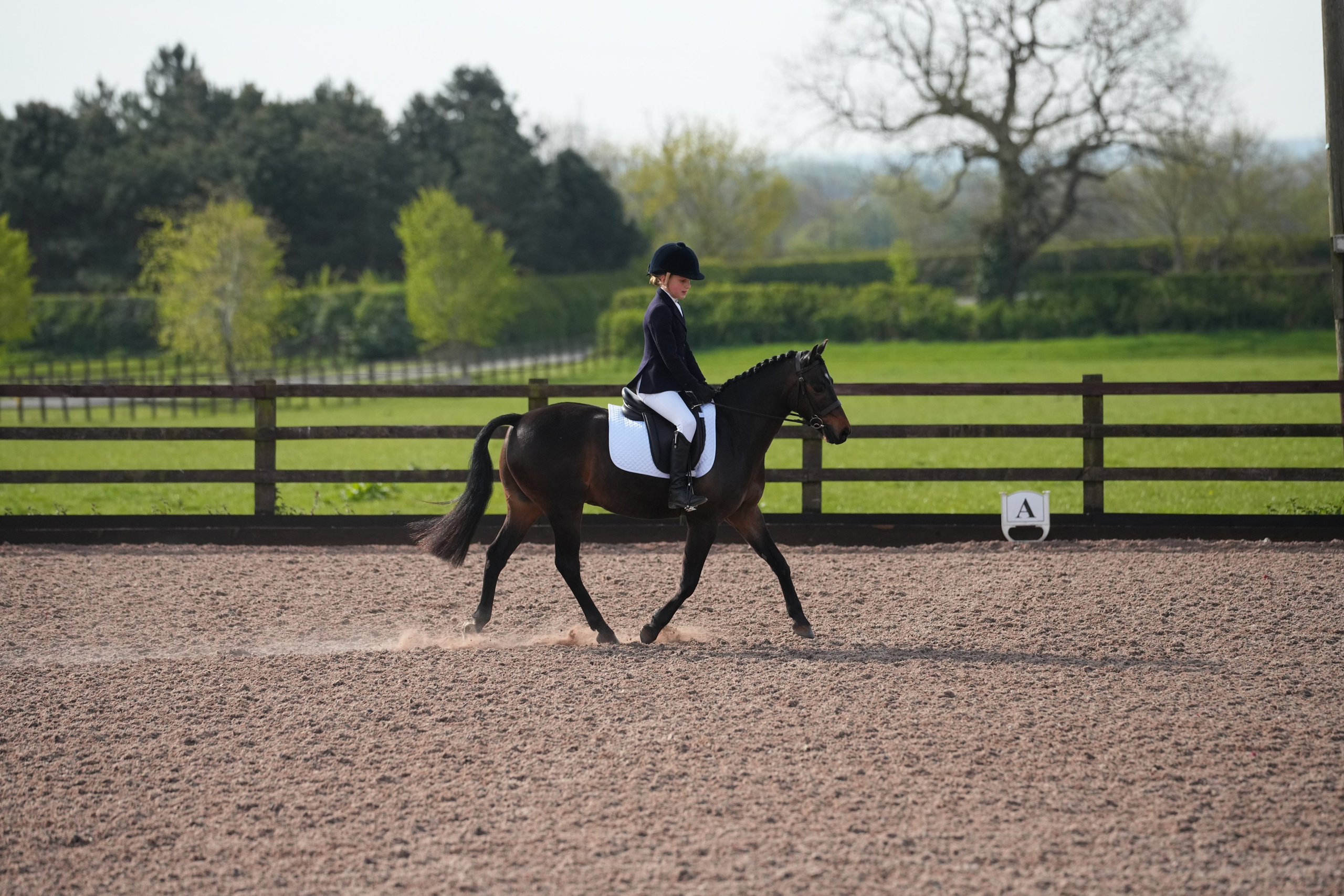 Dressage. Leicestershire Equine Photography by El | Authentic Equine Portraits & Events