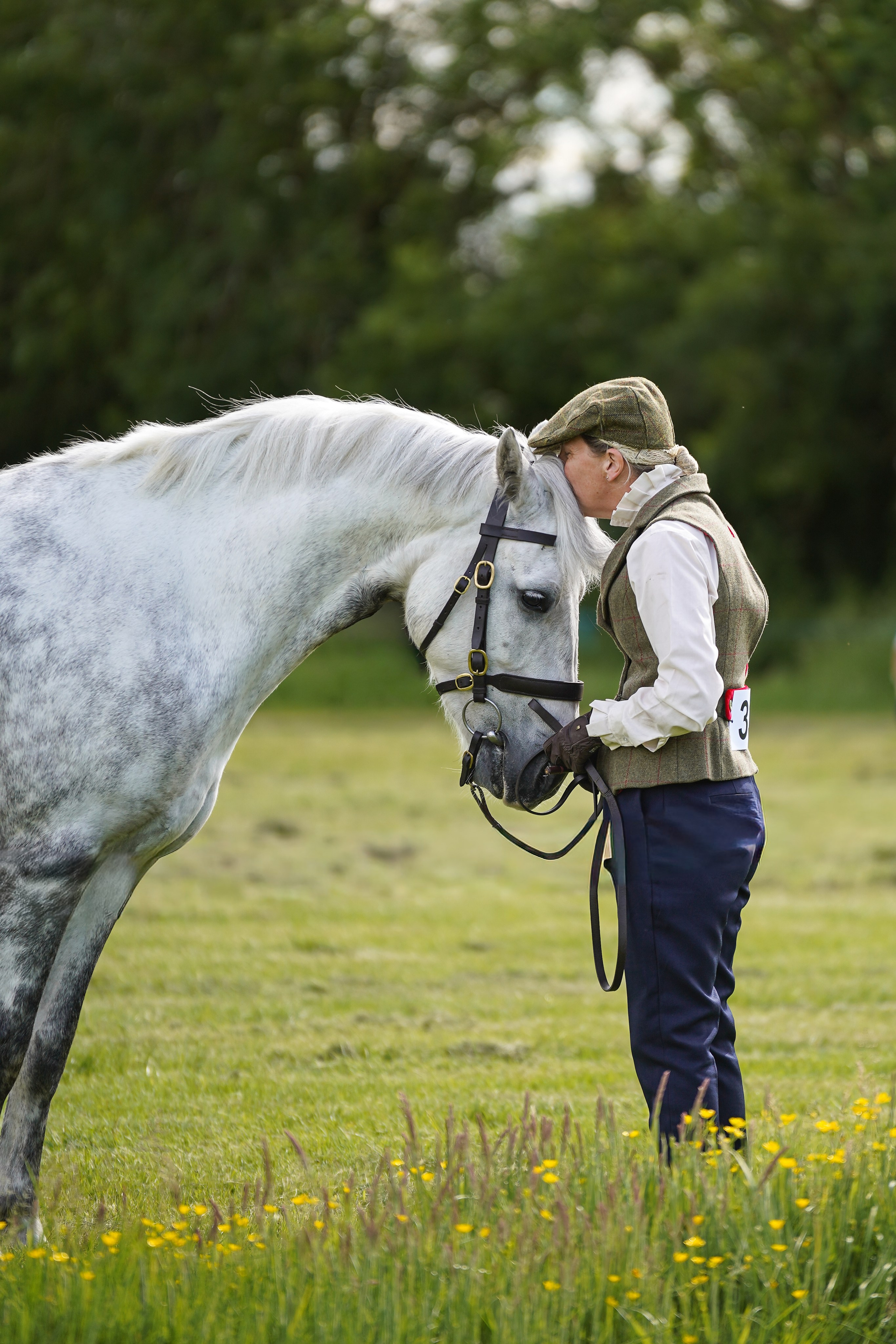 Showing. Leicestershire Equine Photography by El | Authentic Equine Portraits & Events