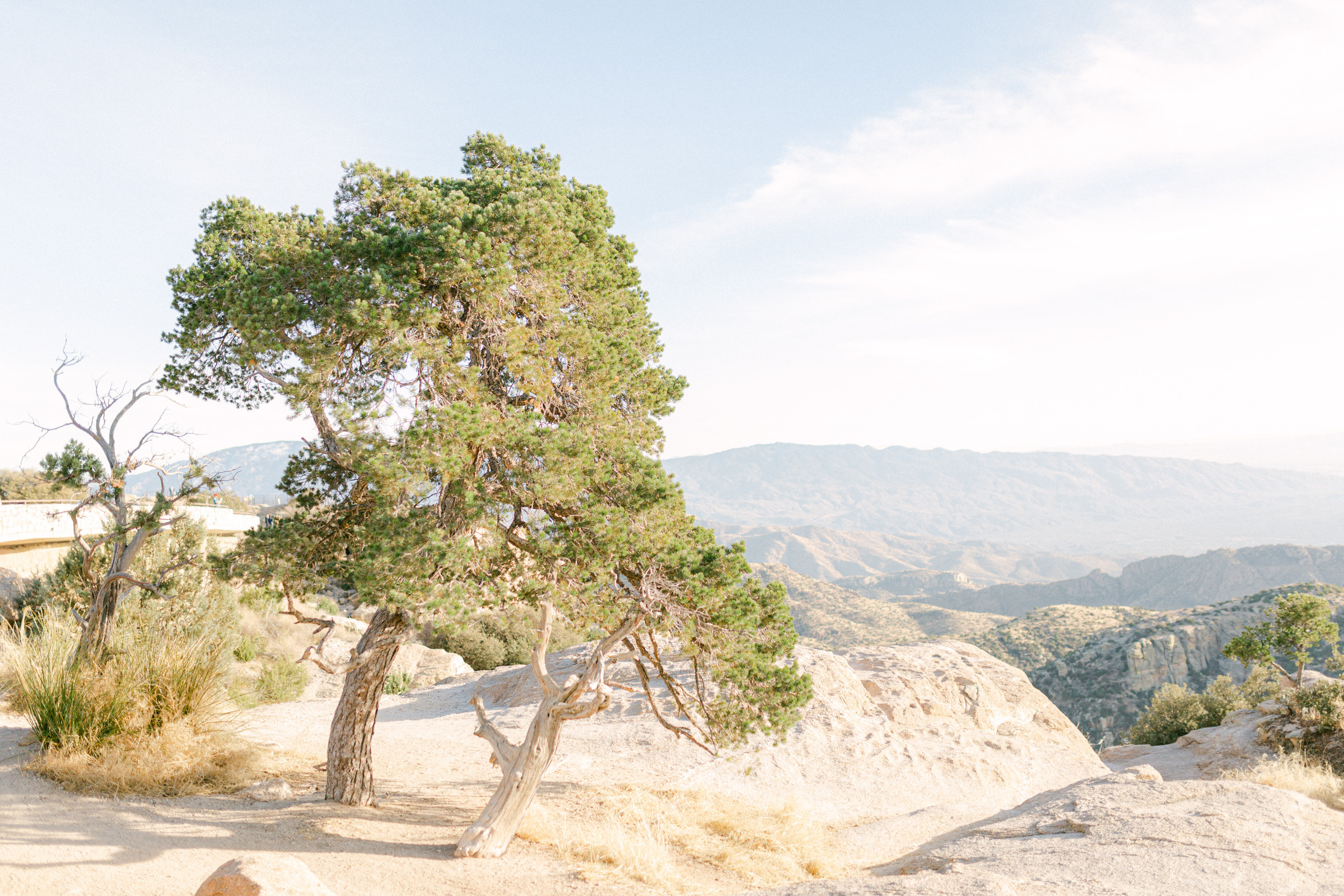 Beautiful Elopement. Anastasia Post: Wedding and Editorial Photography