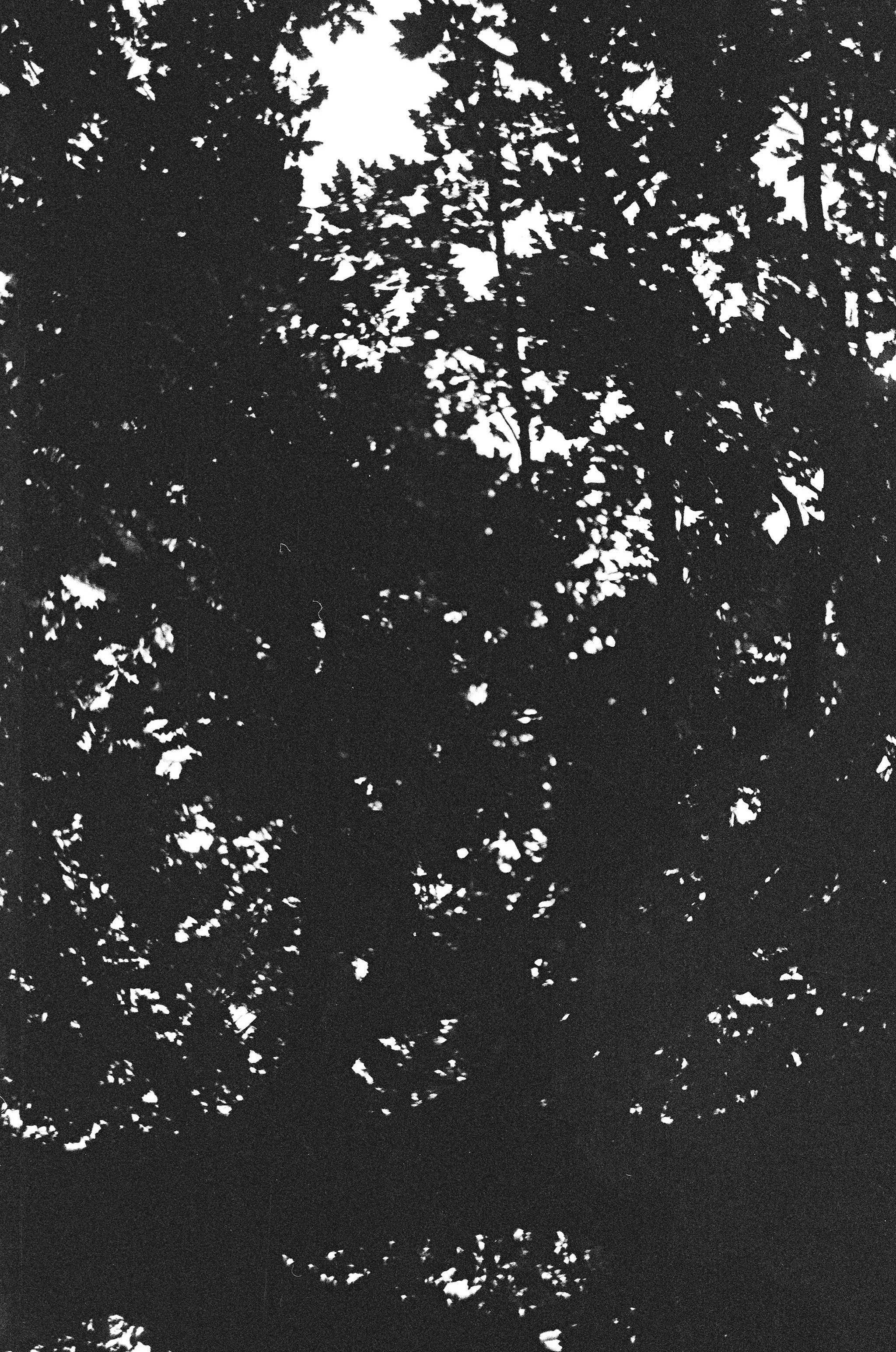 Personal Photography. Arman Milani, Brand-Focused Video Production & Content Creation, Based in Berlin