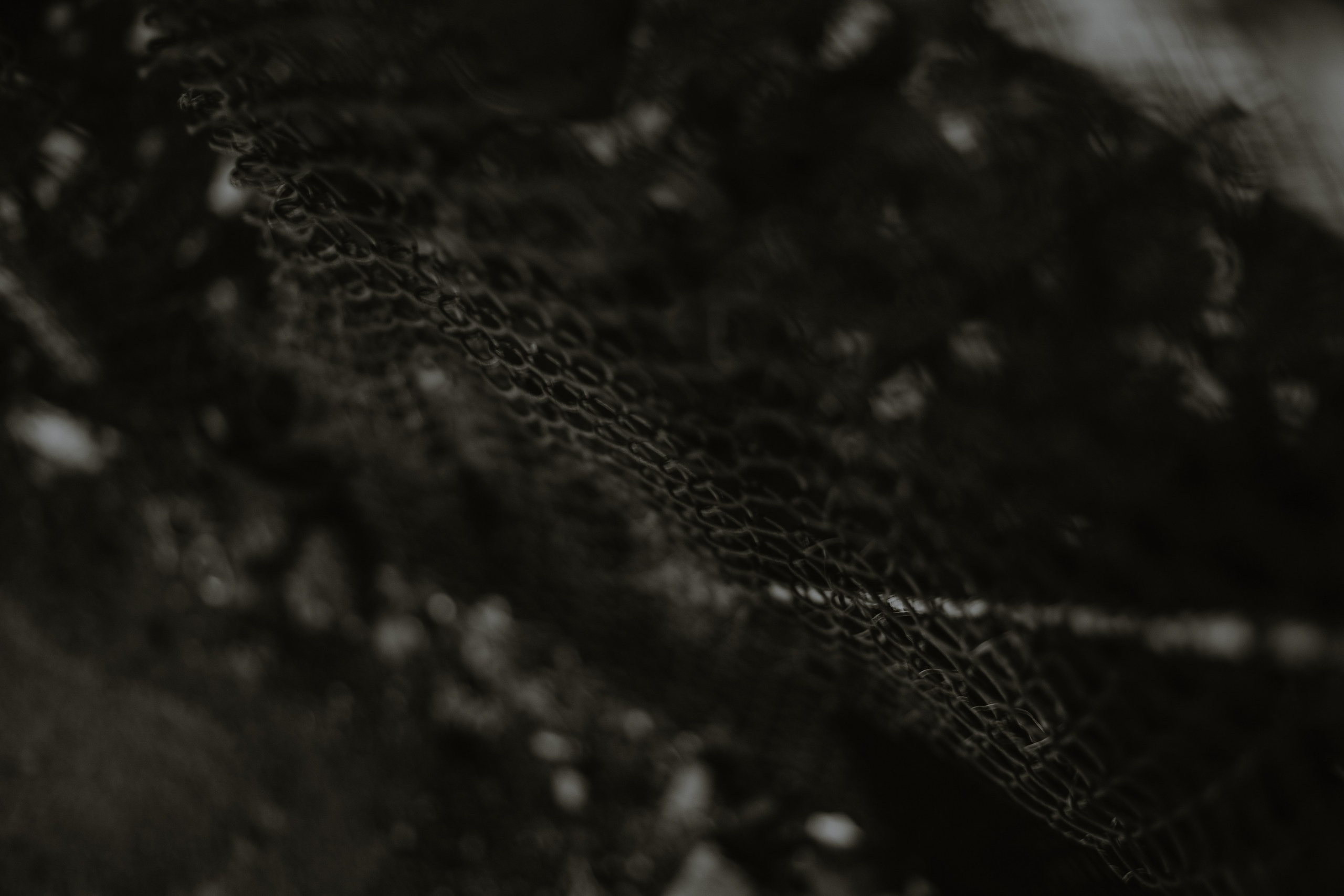 The cage (NY). Photographer New York / Los Angeles