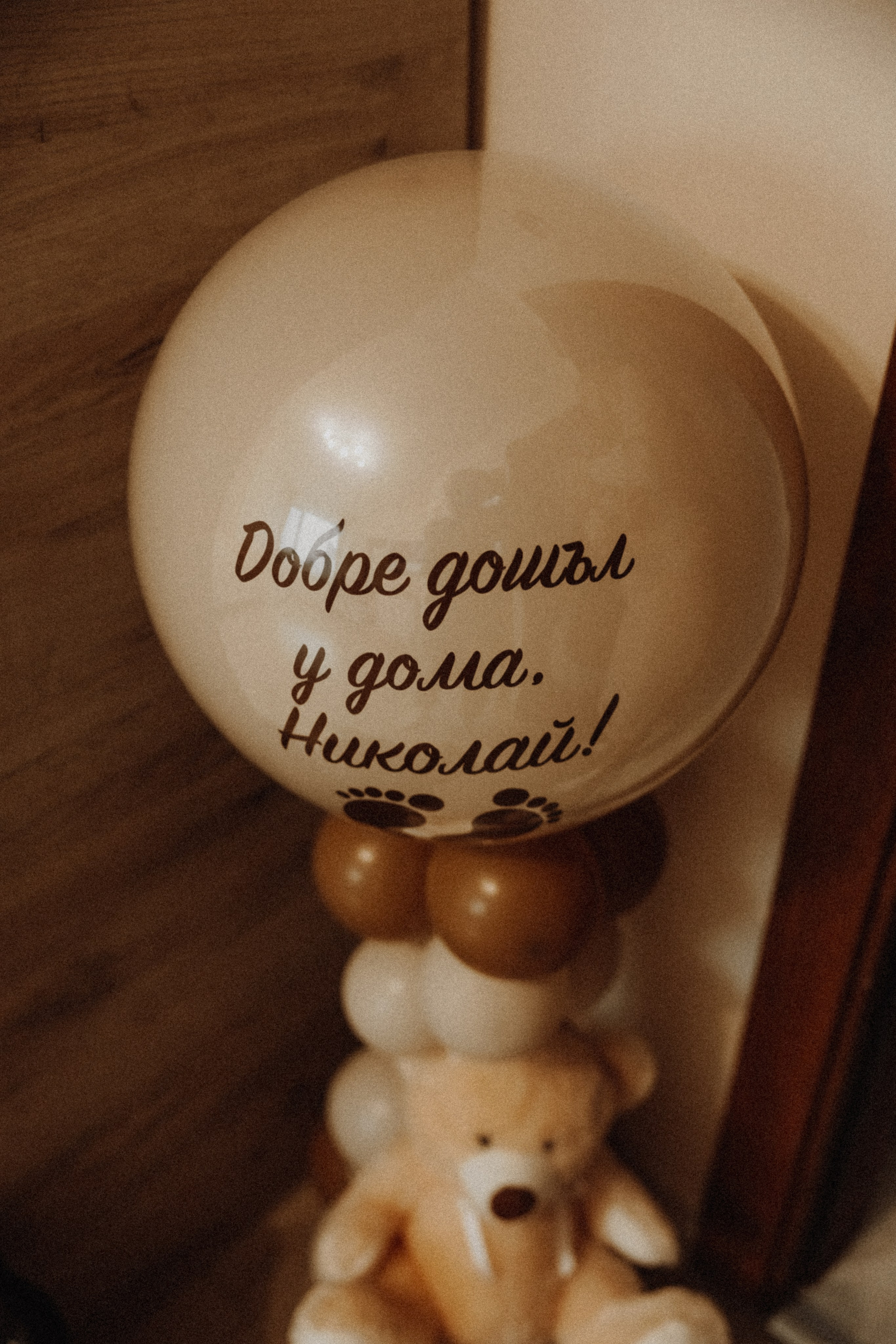 Baby Boy. Фотограф Ирина Йотова