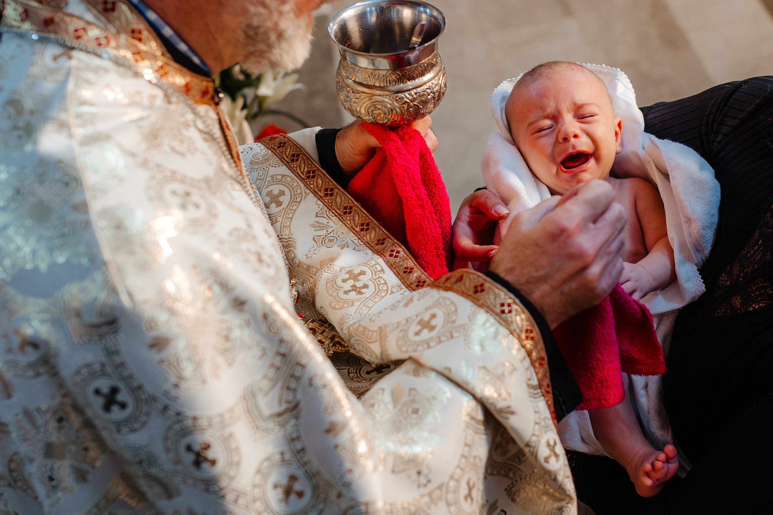 Cezar. Ionut Brehuescu — Fotograf