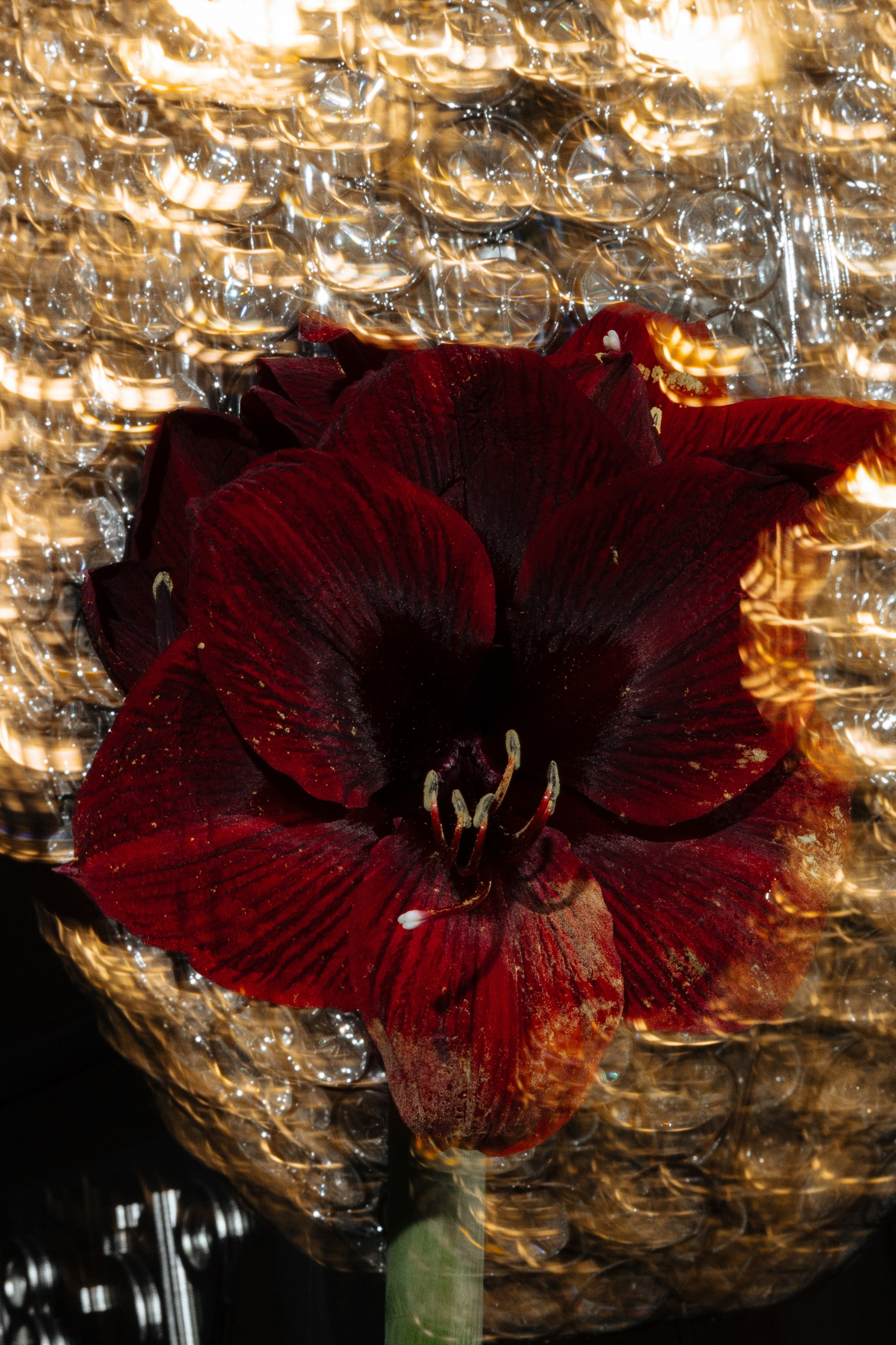 Galina Artem. Iryna Trokhymovych