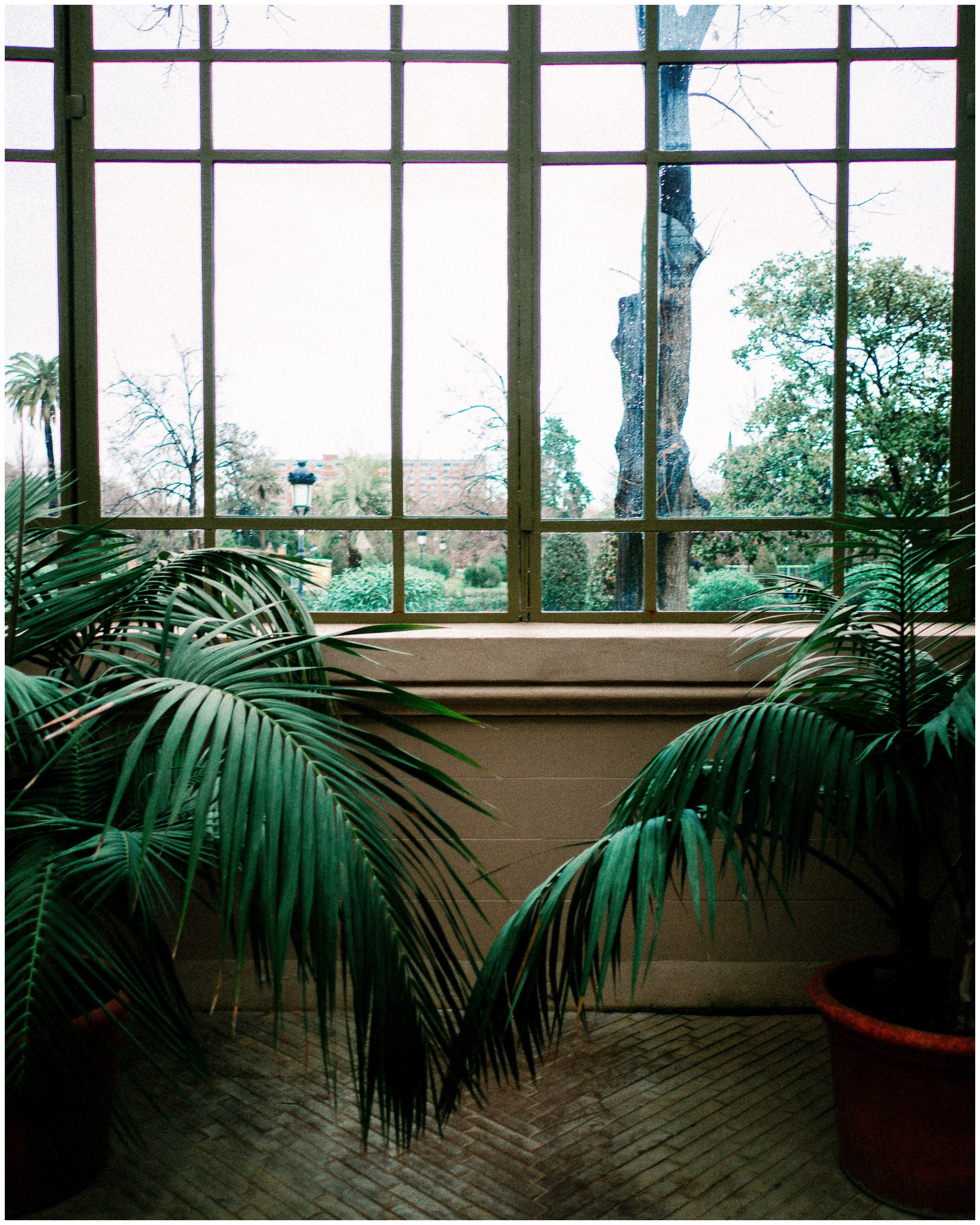 BARCELONA. Inna Mendelson — Photographer