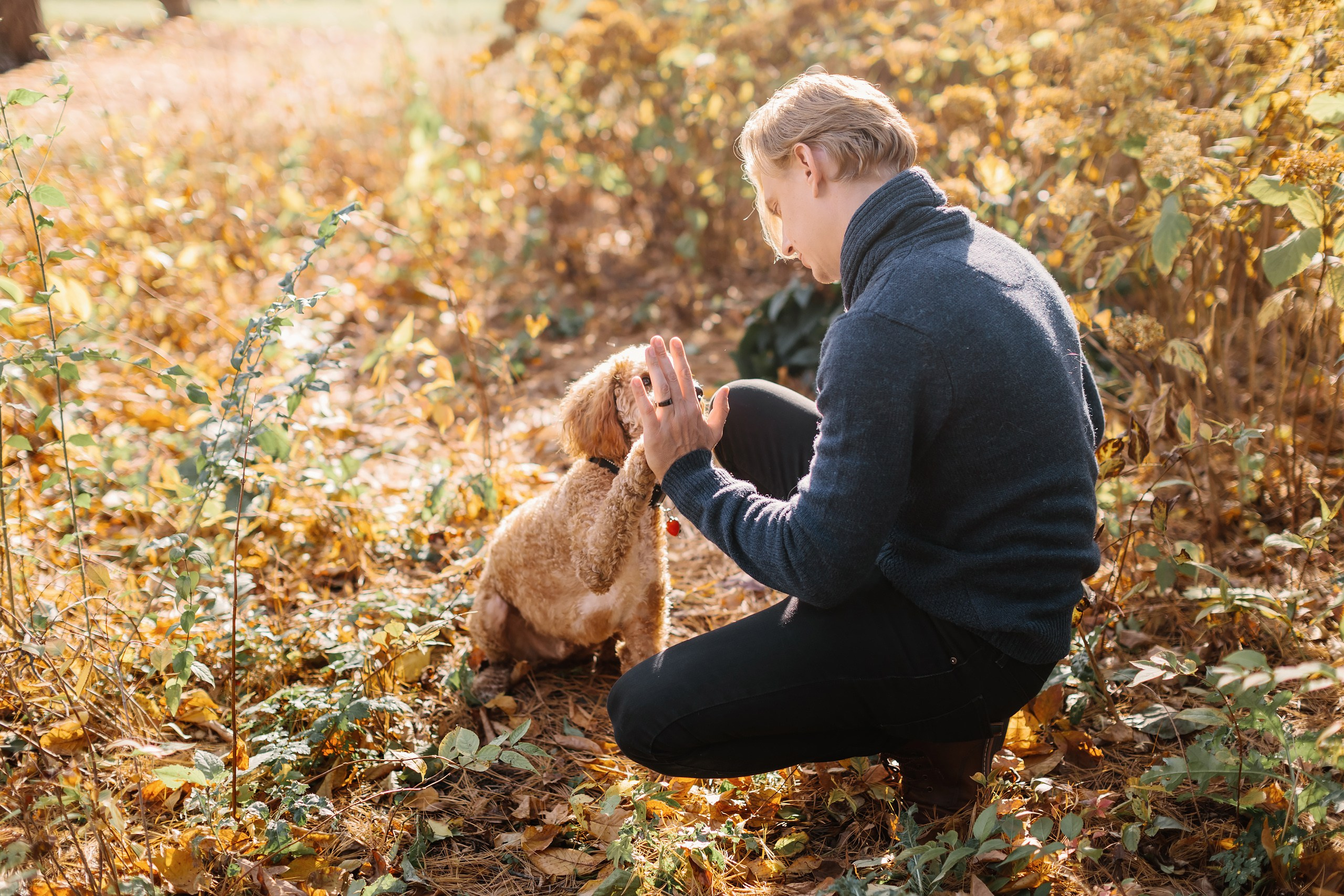 11.02.2024 Love Story. Wedding family event photographer in Chicago Nick Yushevich