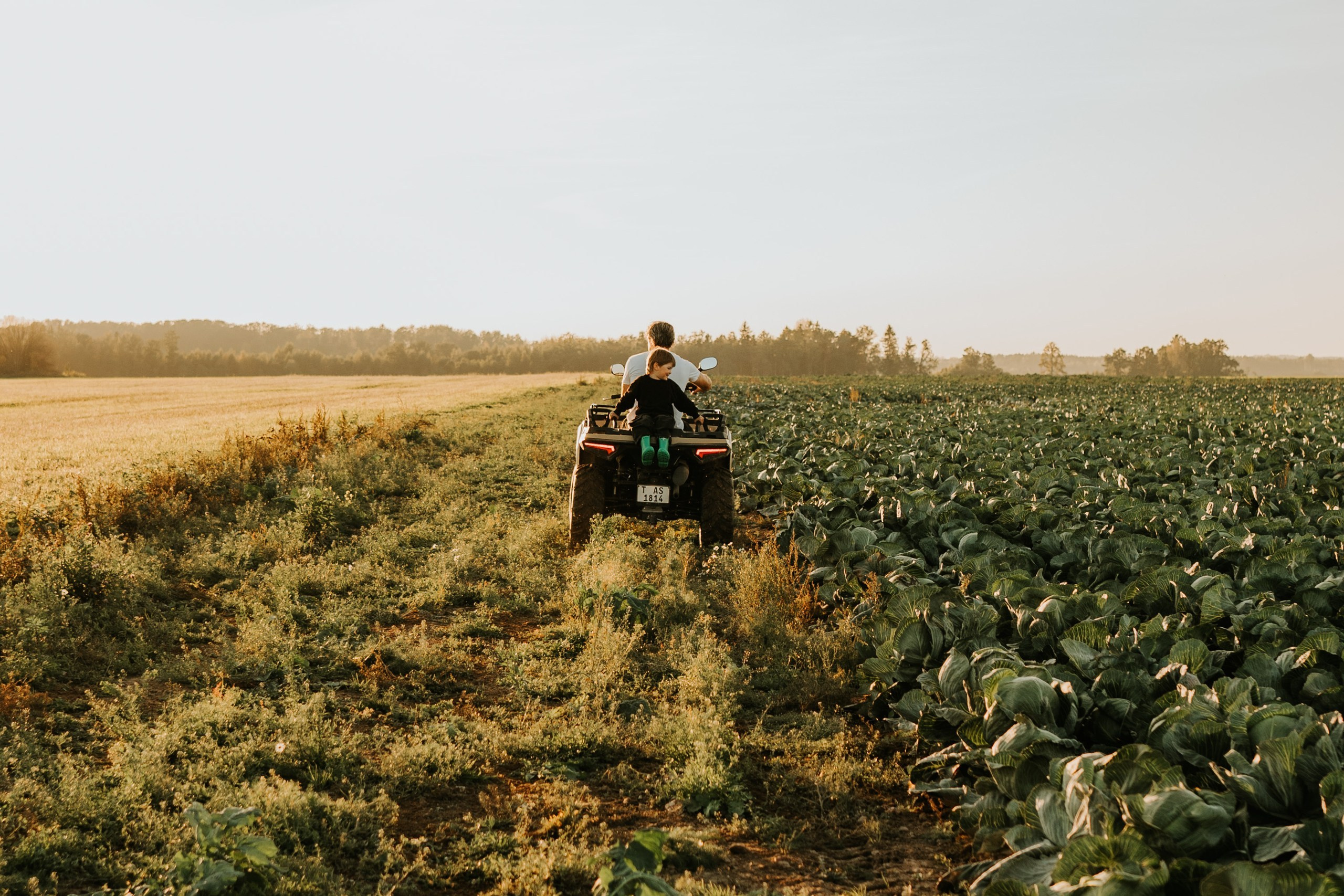 FAMILY IN CABBAGES. Dagneshi Photography