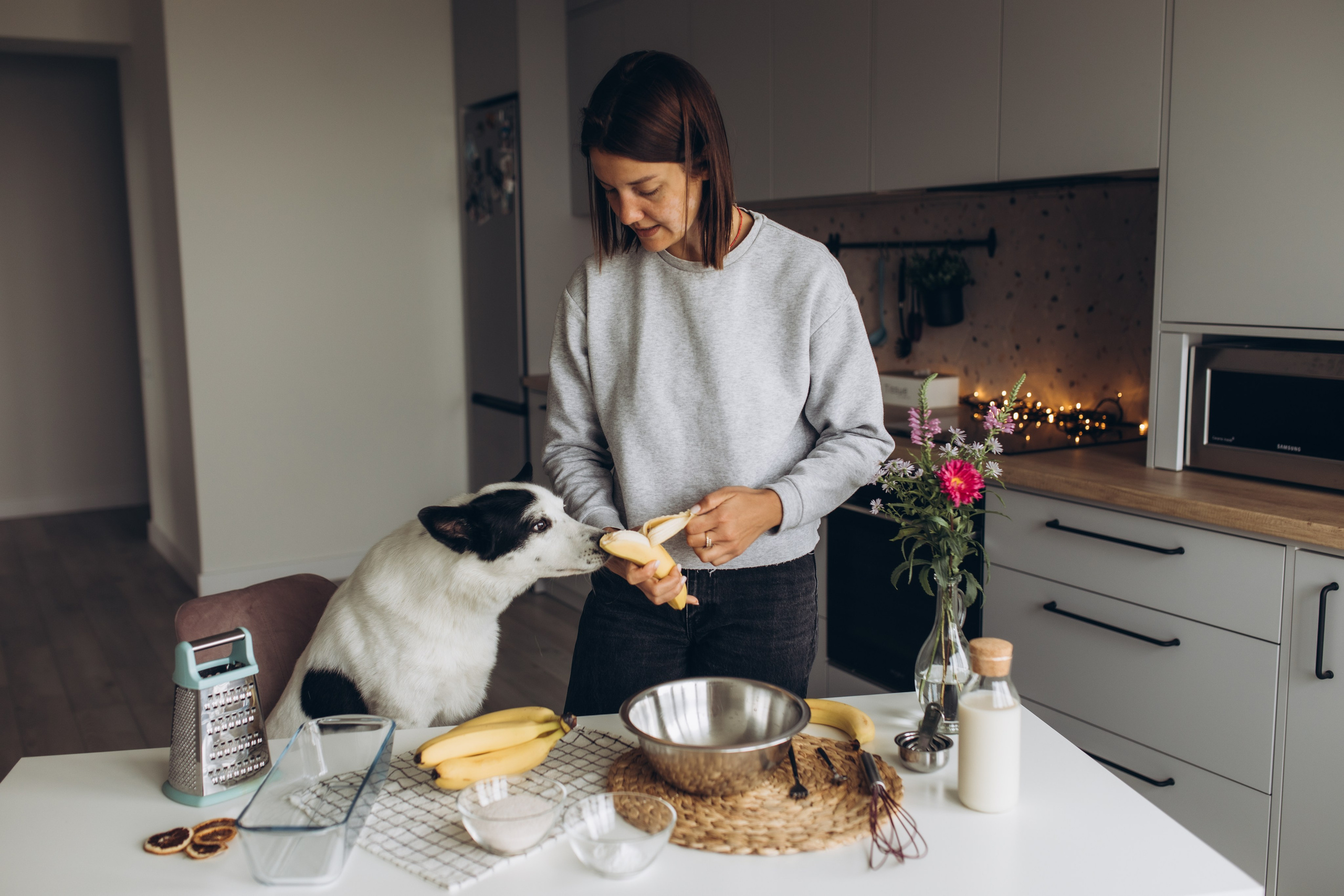 Kate&Tesla. Семейный фотограф в Кишинёве Пулькина Ольга