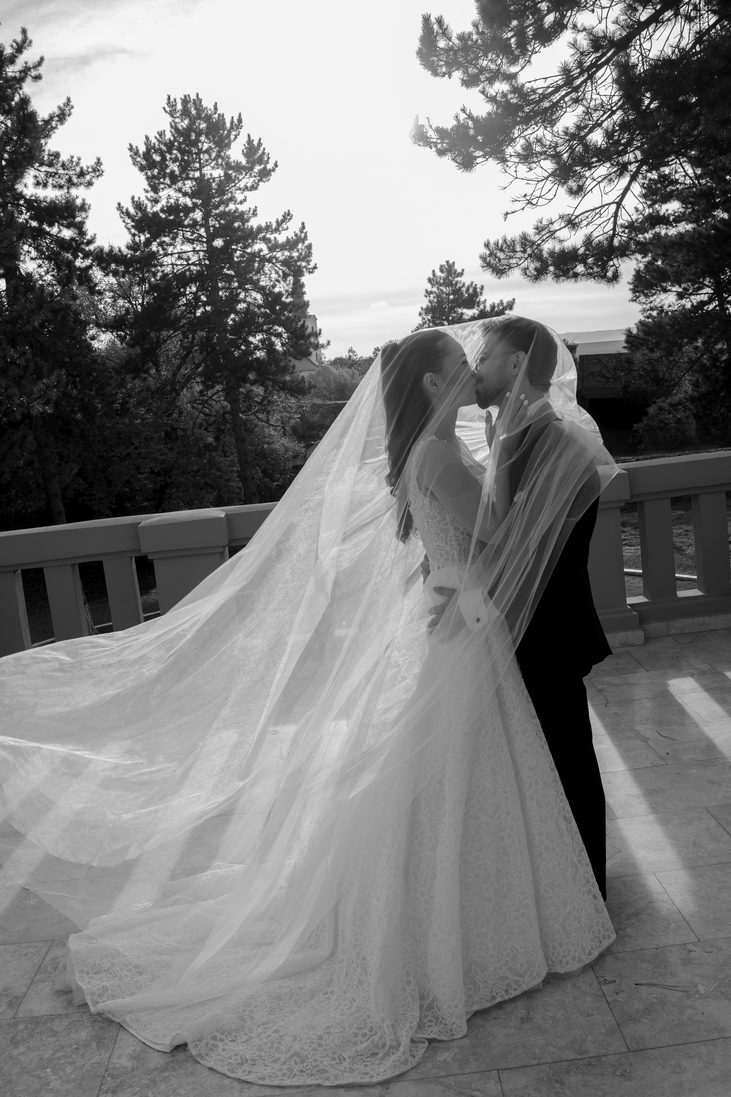 David & Vivien. Mark Fazakas — Wedding Photographer