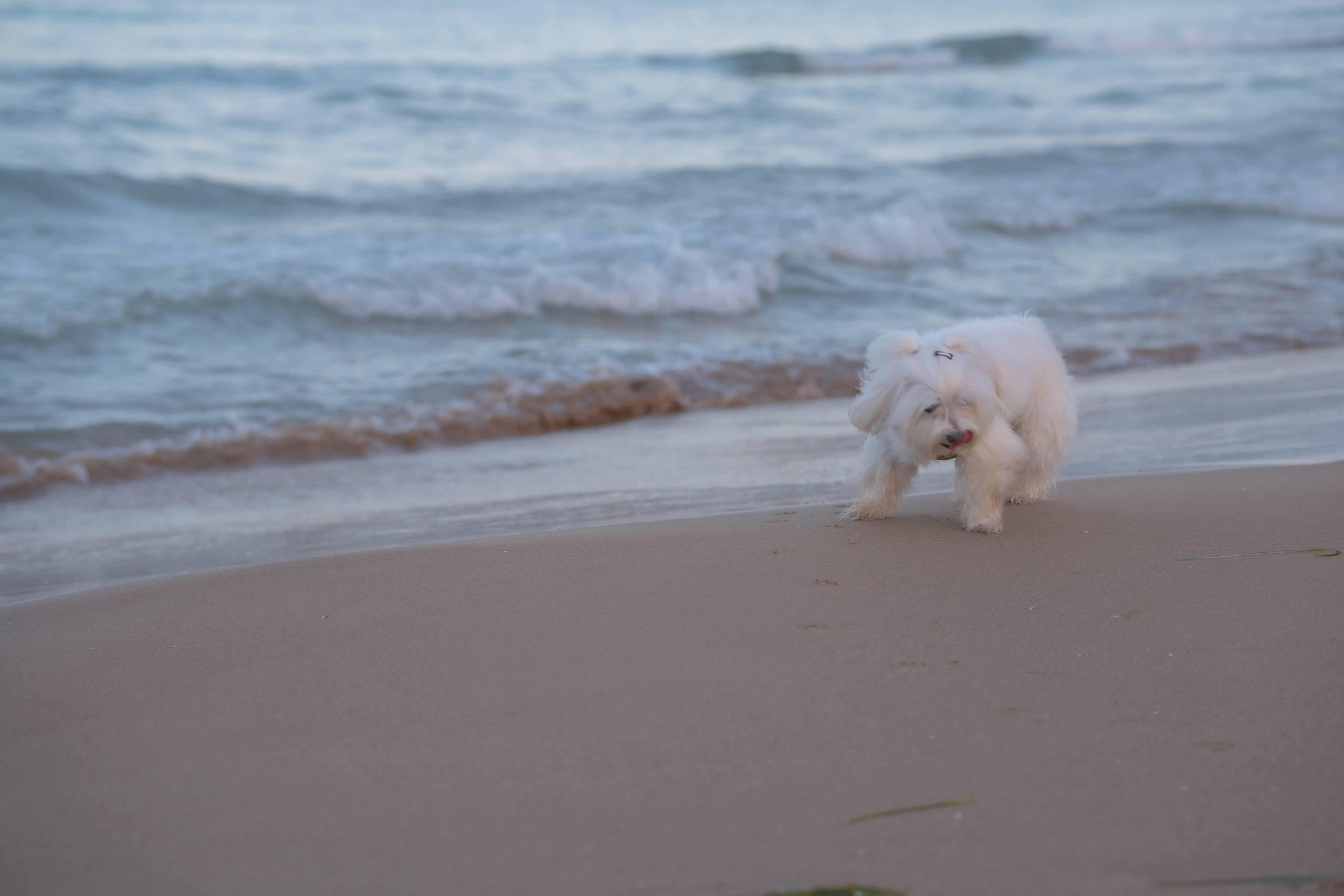 Karina. Alba del Norte Studio