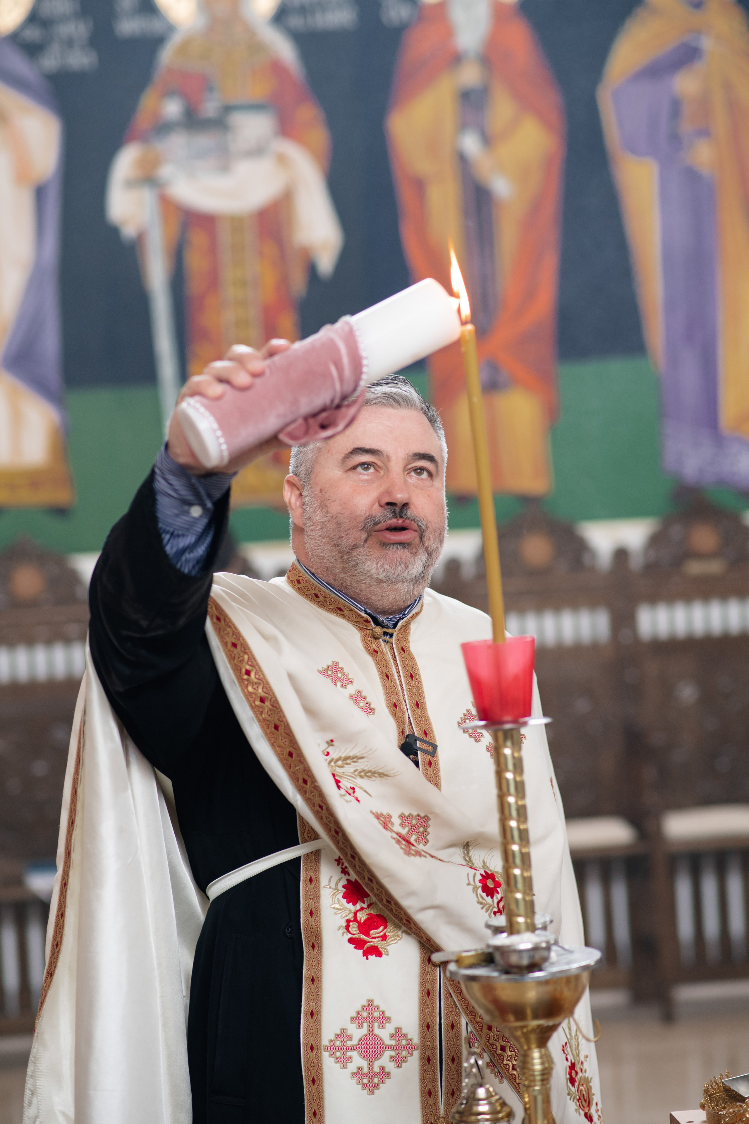 Adele Mari. Studio Timis