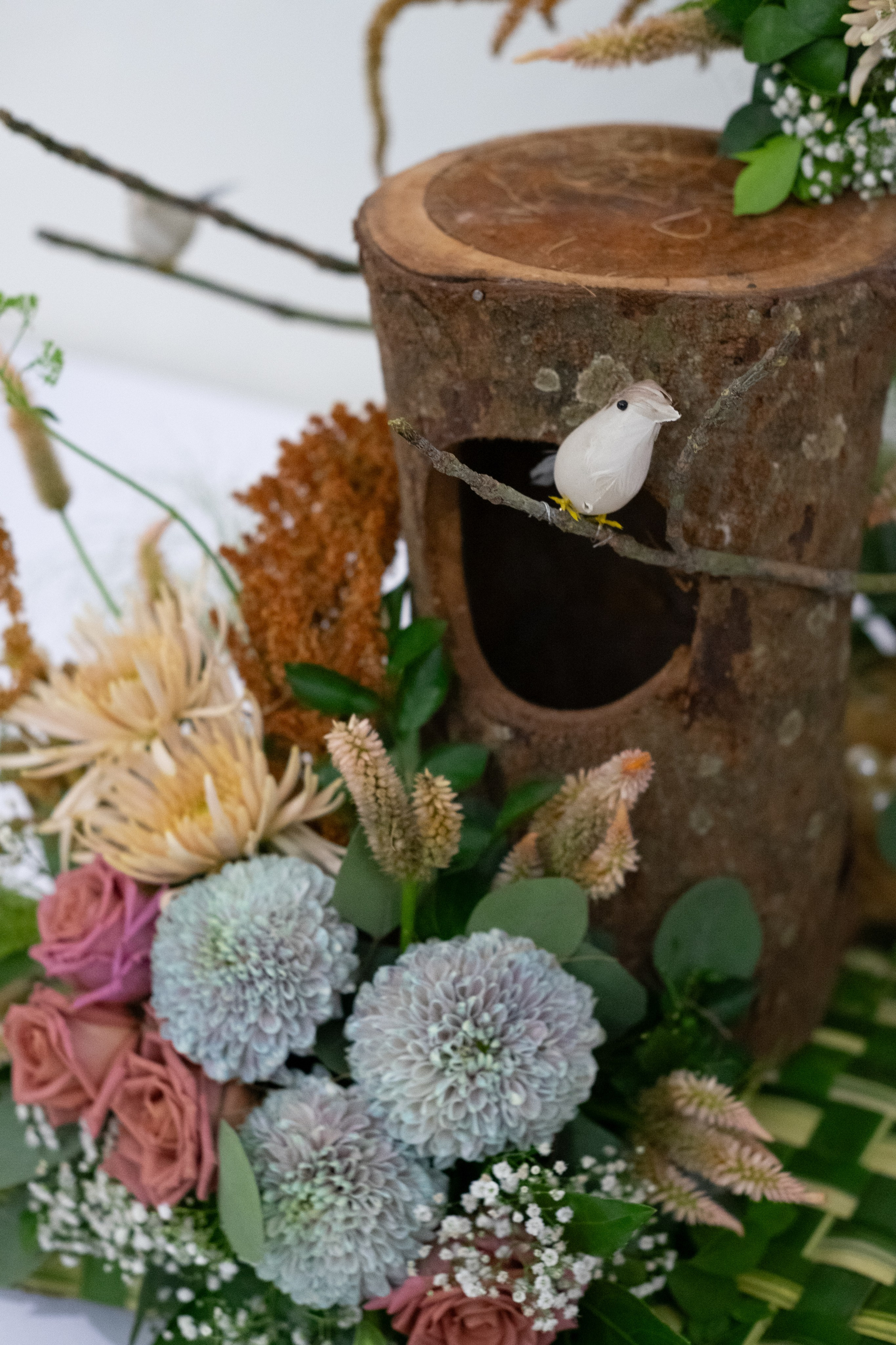 IPBI Surabaya — Product Shoot. Aro Salaka Event Photography