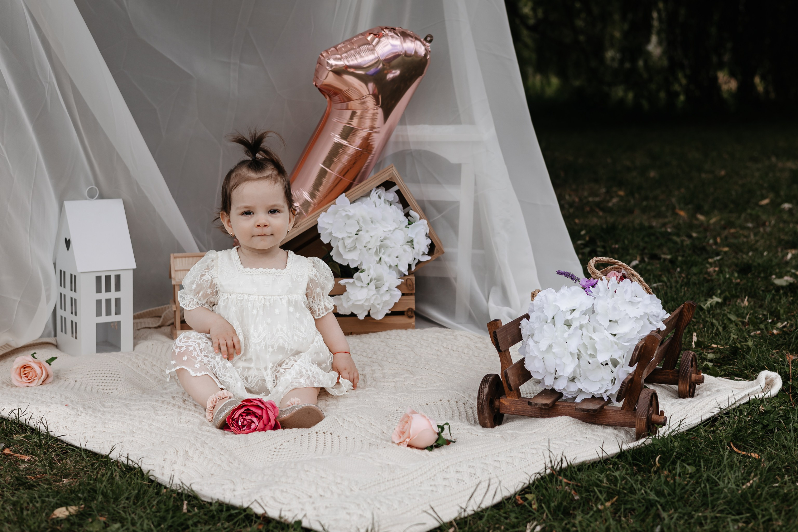 Anișor. Fotograf Profesionist Piatra Neamț, Roman, Târgu Neamț, Bicaz, Neamț | Studio, Nuntă, Botez, Eveniment | FotoACTIV