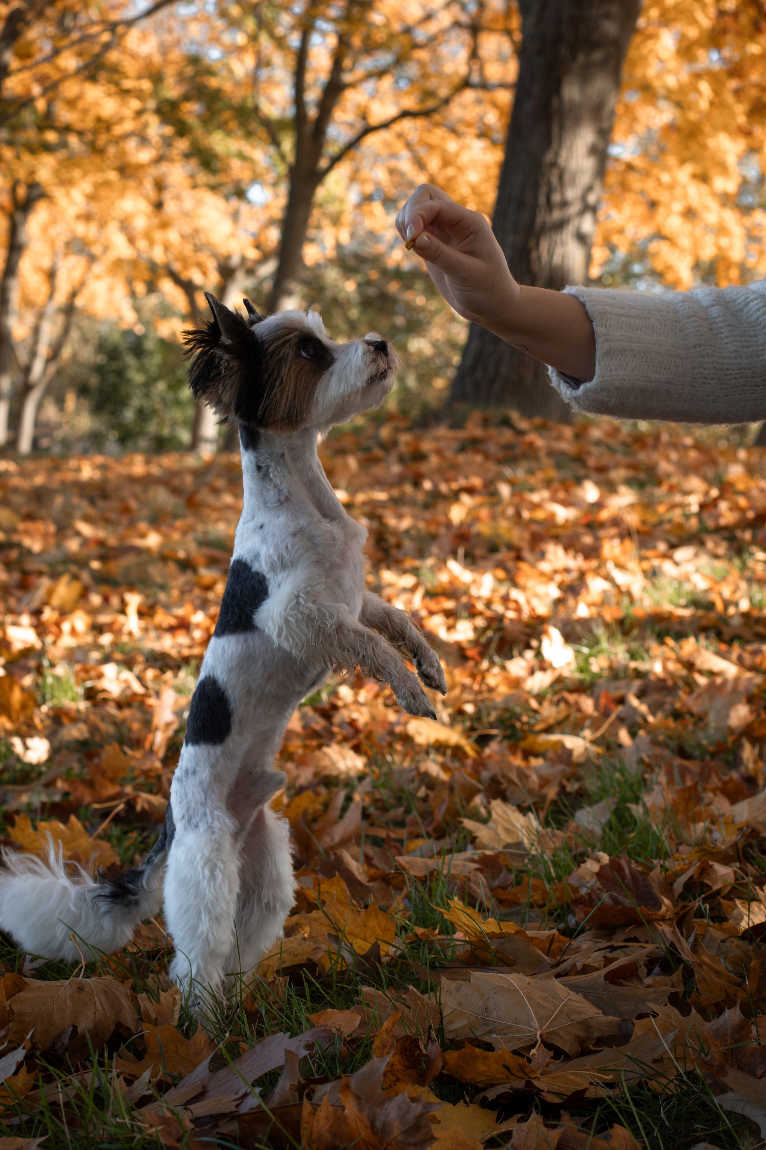 Полина и Луи. Фотограф Лейпциг