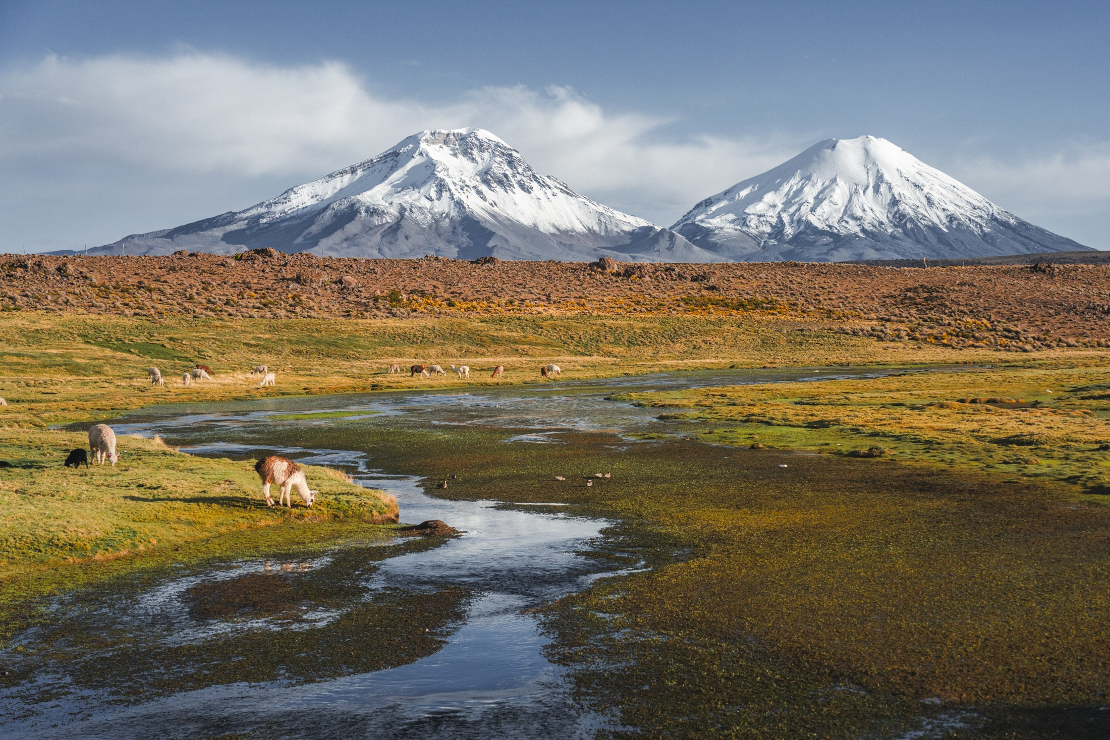 Paisajes. Fotógrafo de naturaleza en Chile Cristian Larrere Worner